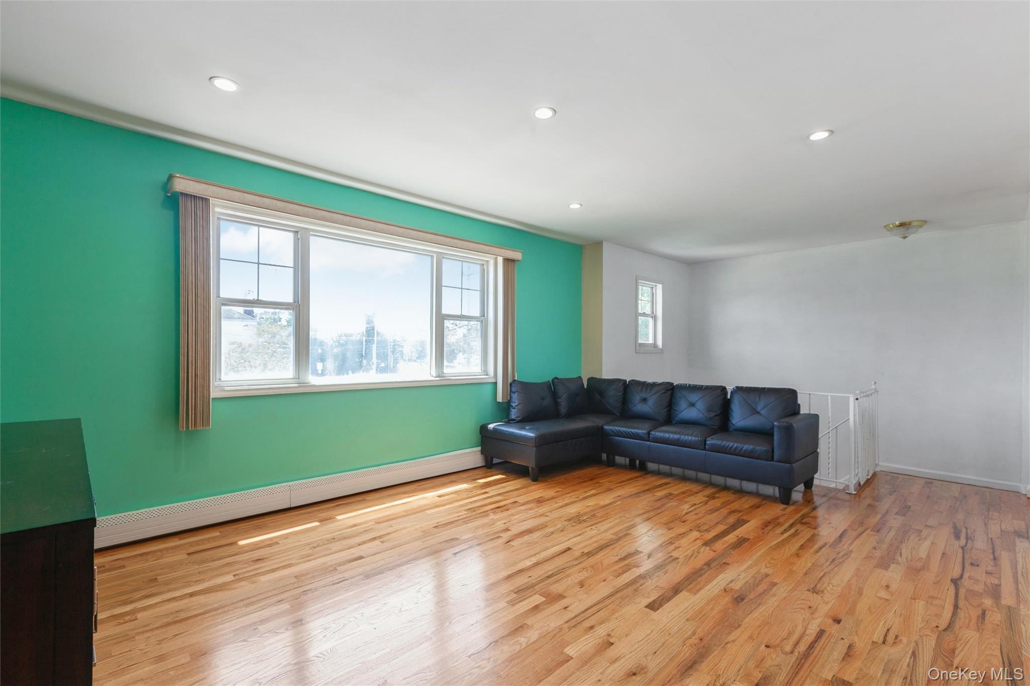 Single Family Wilson Street Nassau County, NY 11518, MLS-1035906-8