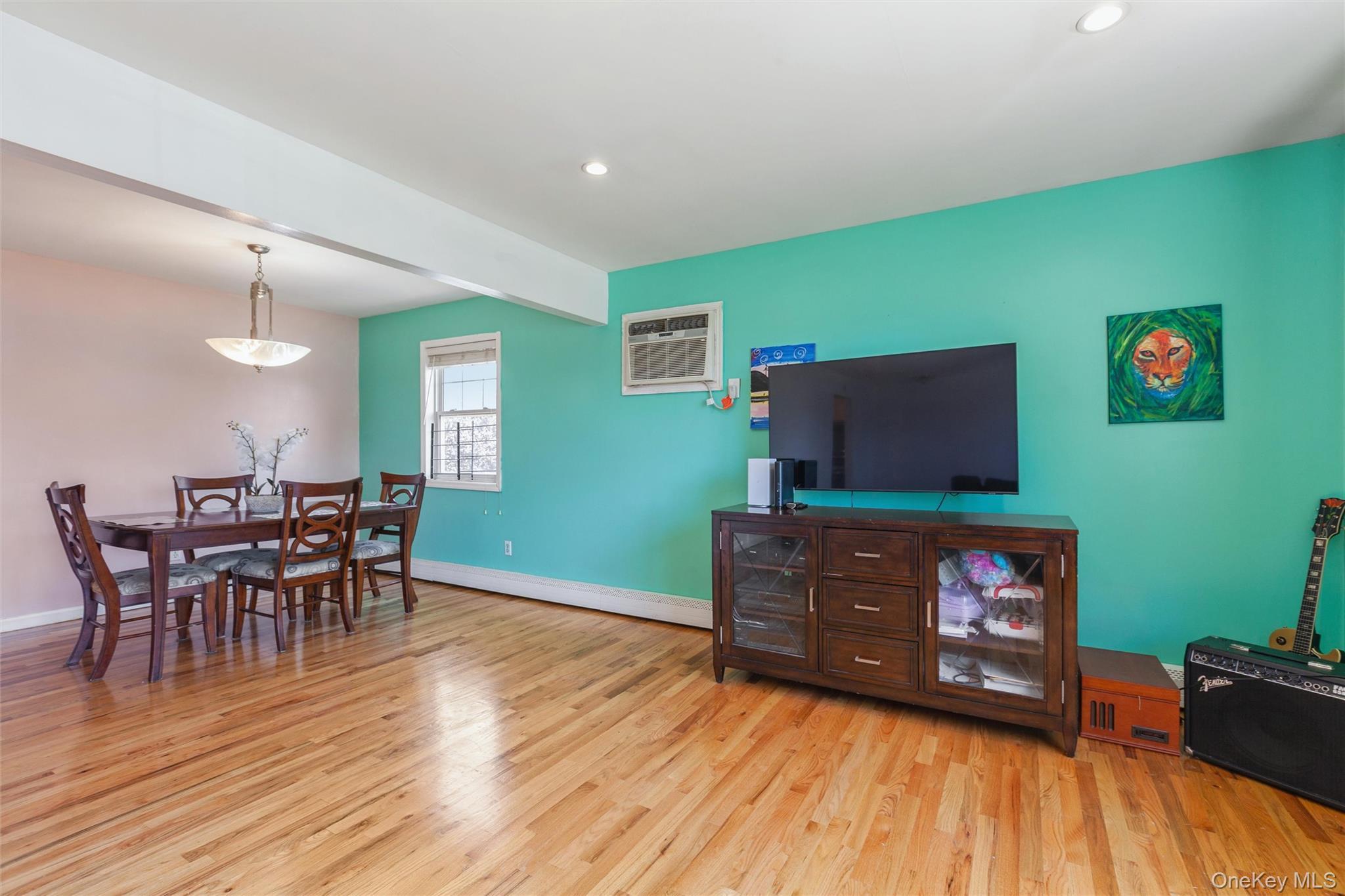 Single Family Wilson Street Nassau County, NY 11518, MLS-1035906-9