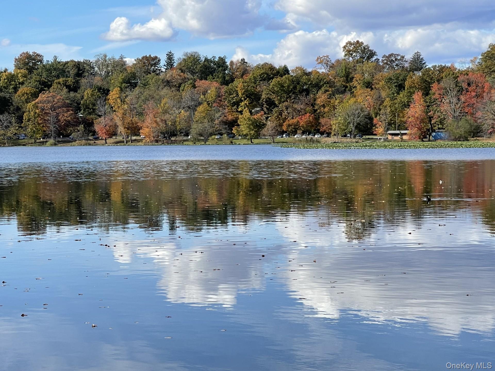 Single Family Sasson Terrace Rockland County, NY 10989, MLS-1035913-33