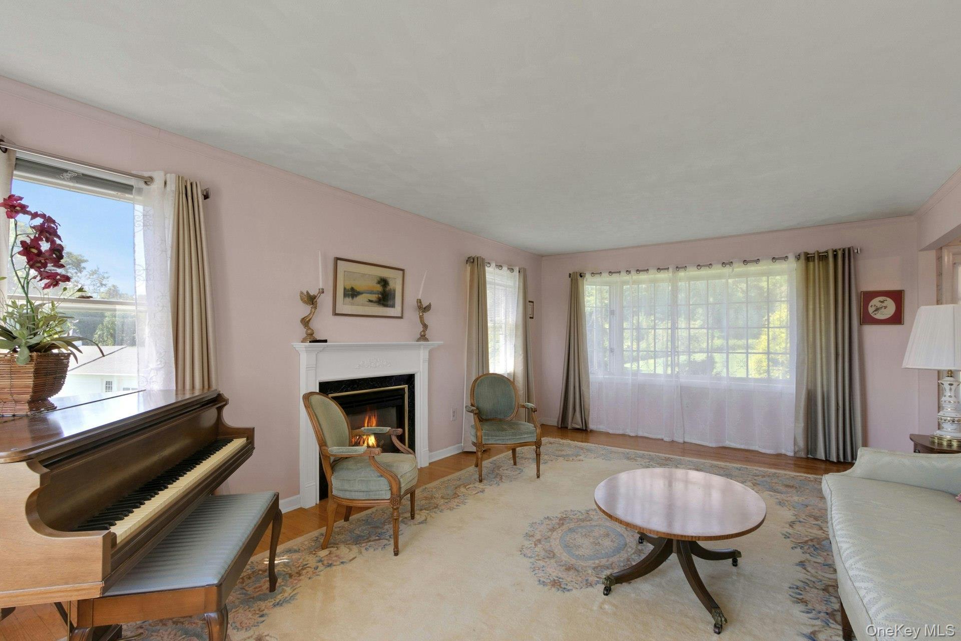 Single Family Route 55  Dutchess County, NY 12564, MLS-1035919-17