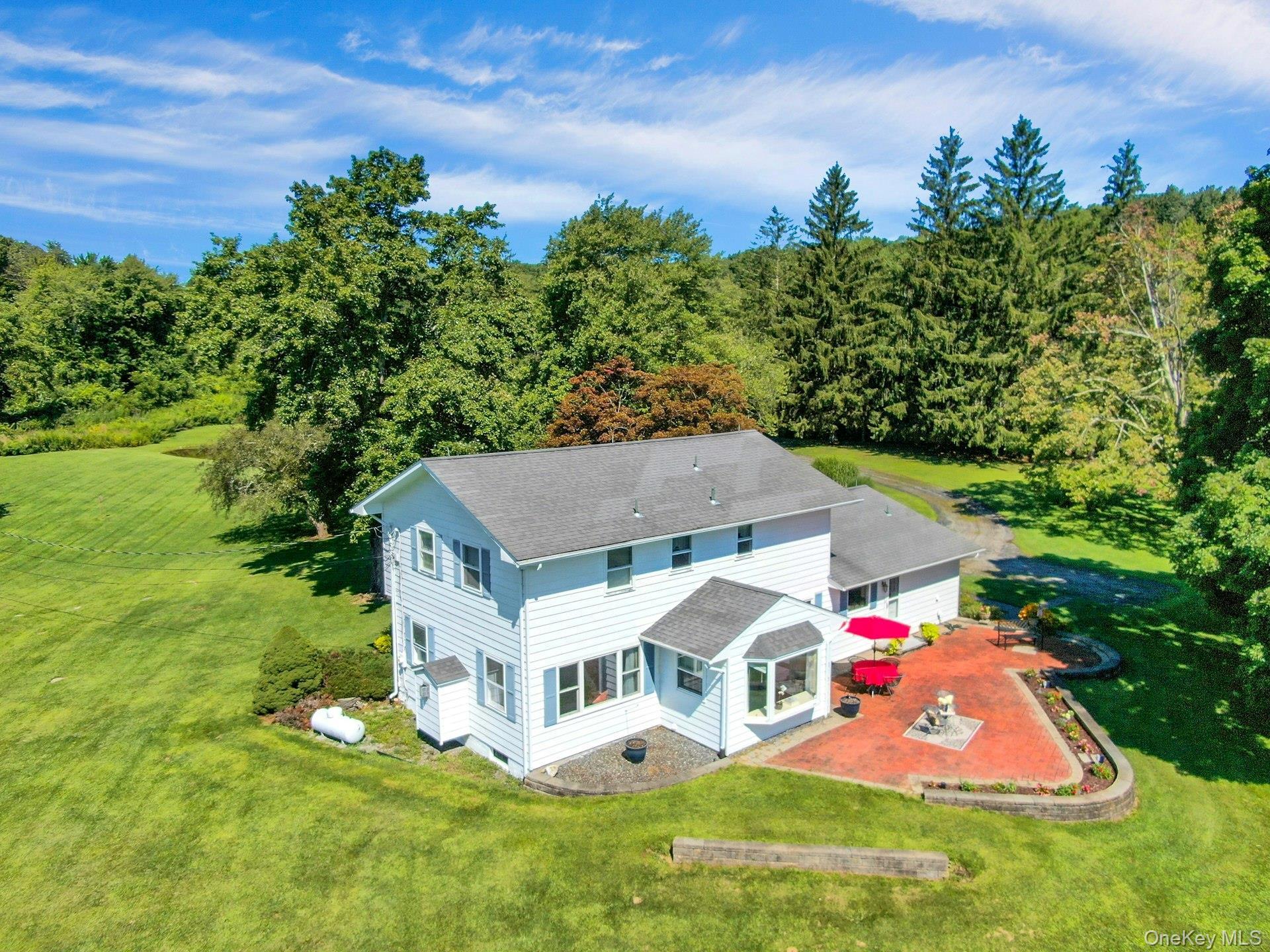Single Family Route 55  Dutchess County, NY 12564, MLS-1035919-2