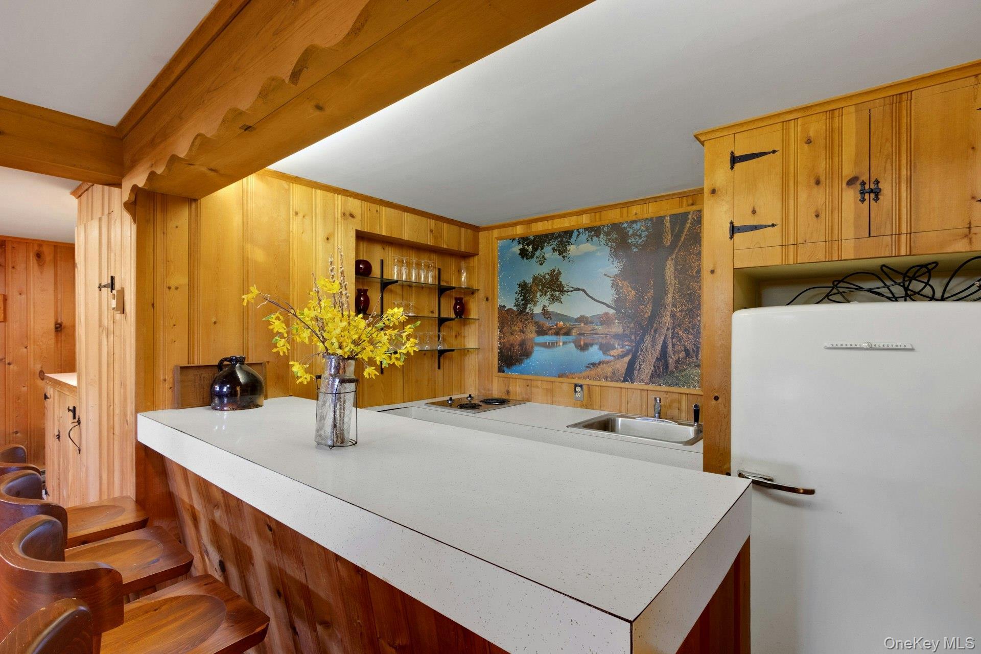 Single Family Route 55  Dutchess County, NY 12564, MLS-1035919-21