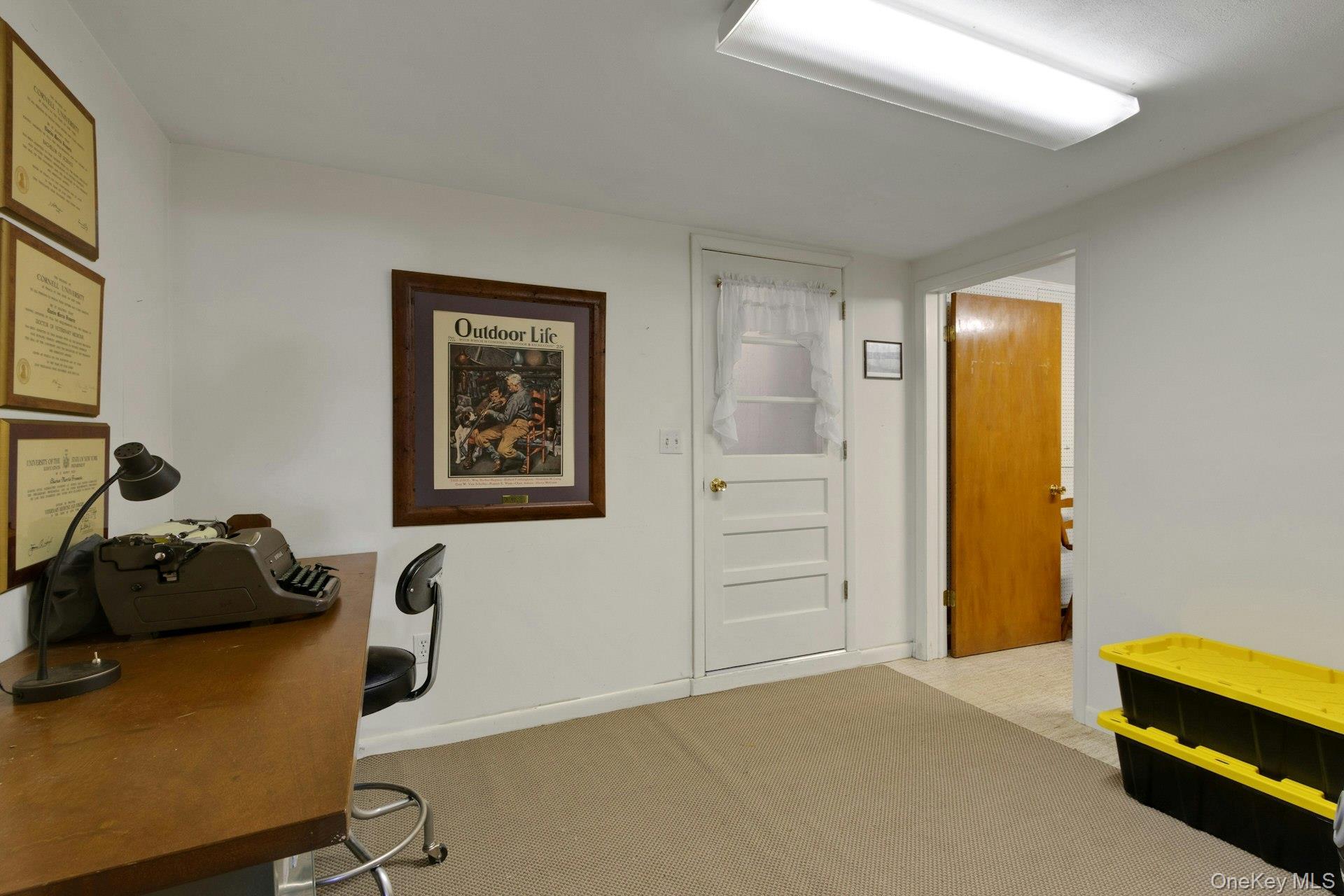 Single Family Route 55  Dutchess County, NY 12564, MLS-1035919-22