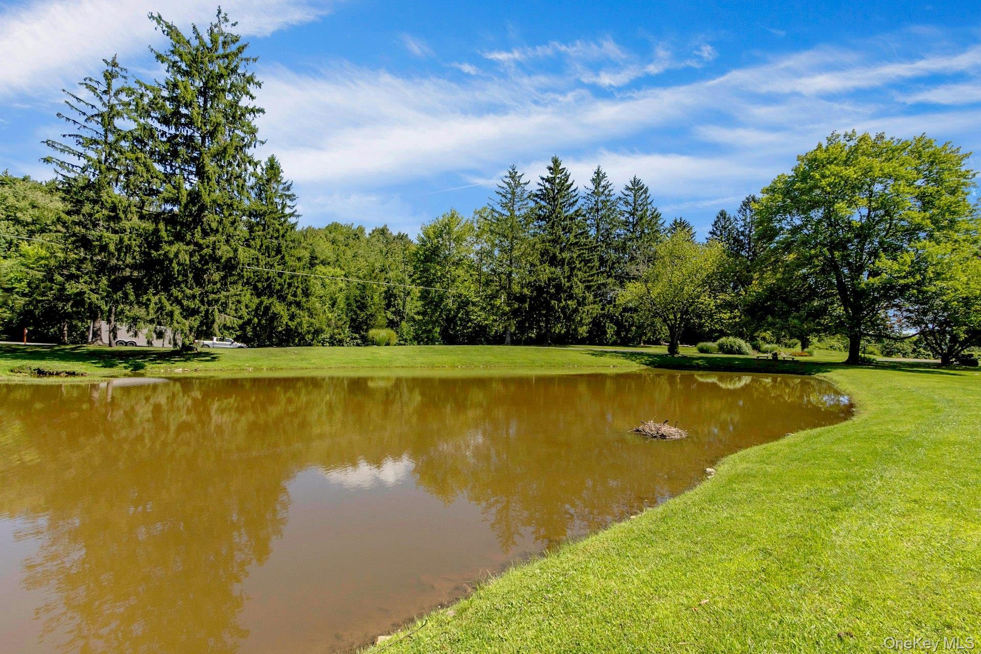 Single Family Route 55  Dutchess County, NY 12564, MLS-1035919-34