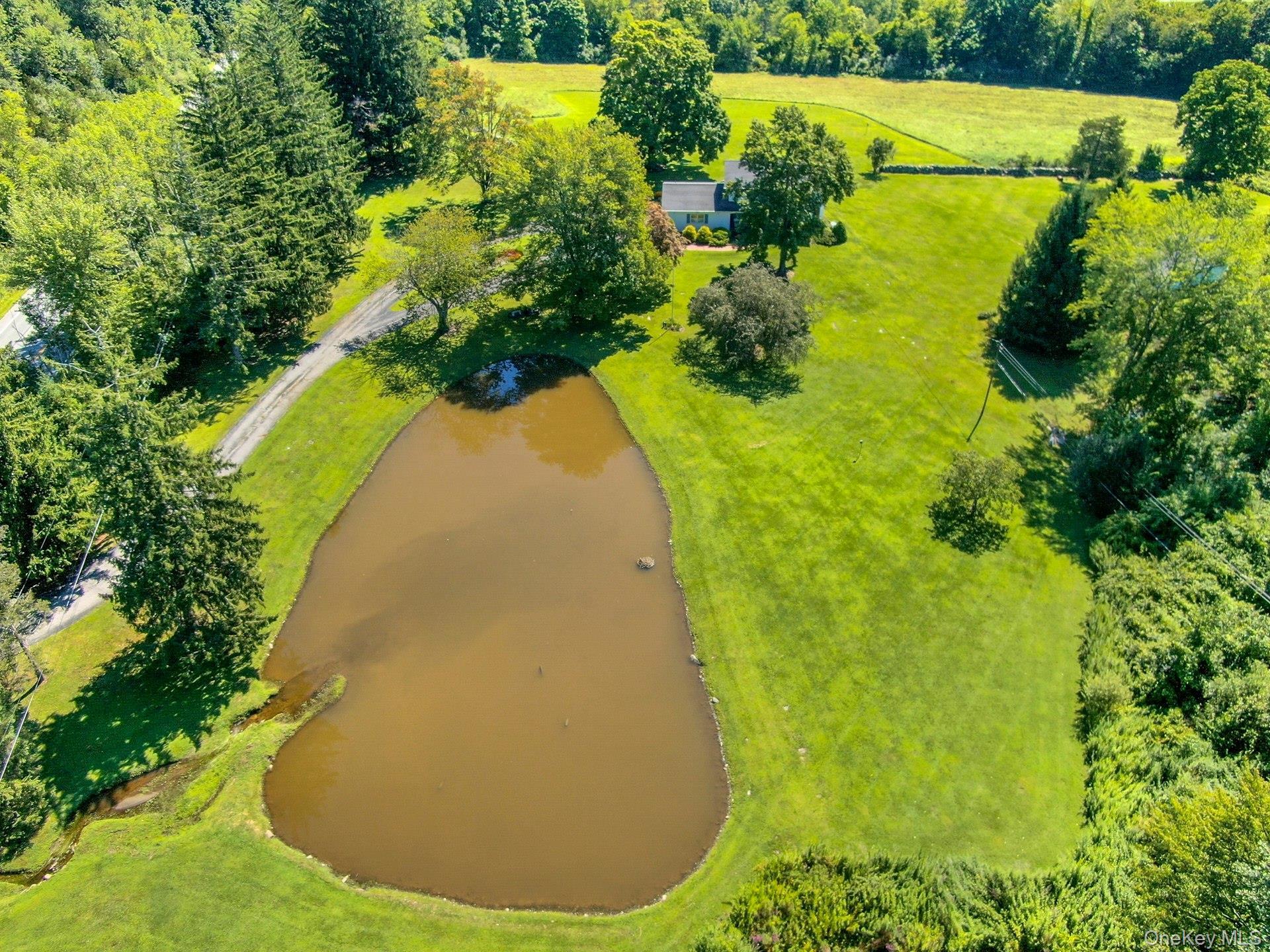 Single Family Route 55  Dutchess County, NY 12564, MLS-1035919-44