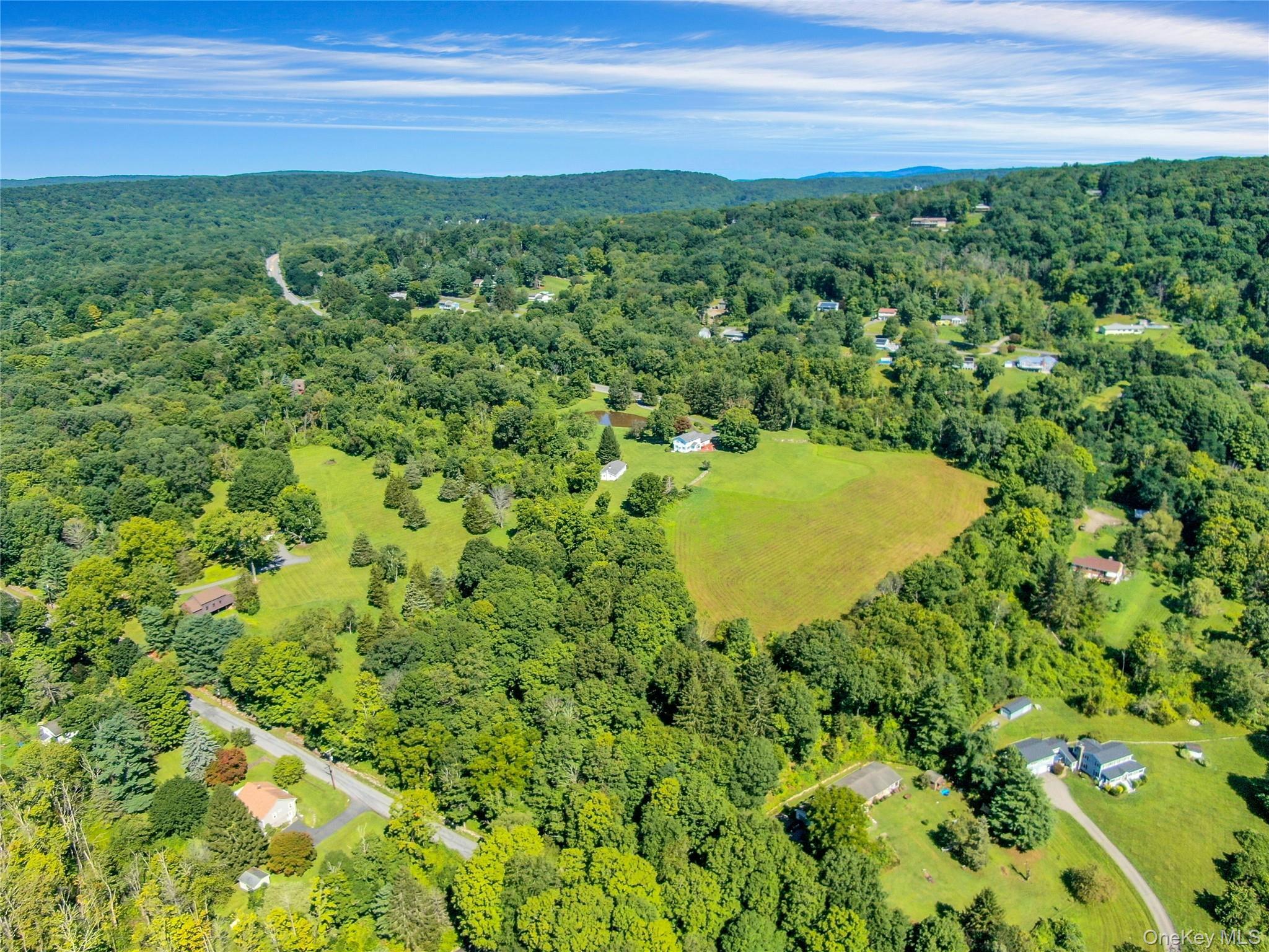 Single Family Route 55  Dutchess County, NY 12564, MLS-1035919-7