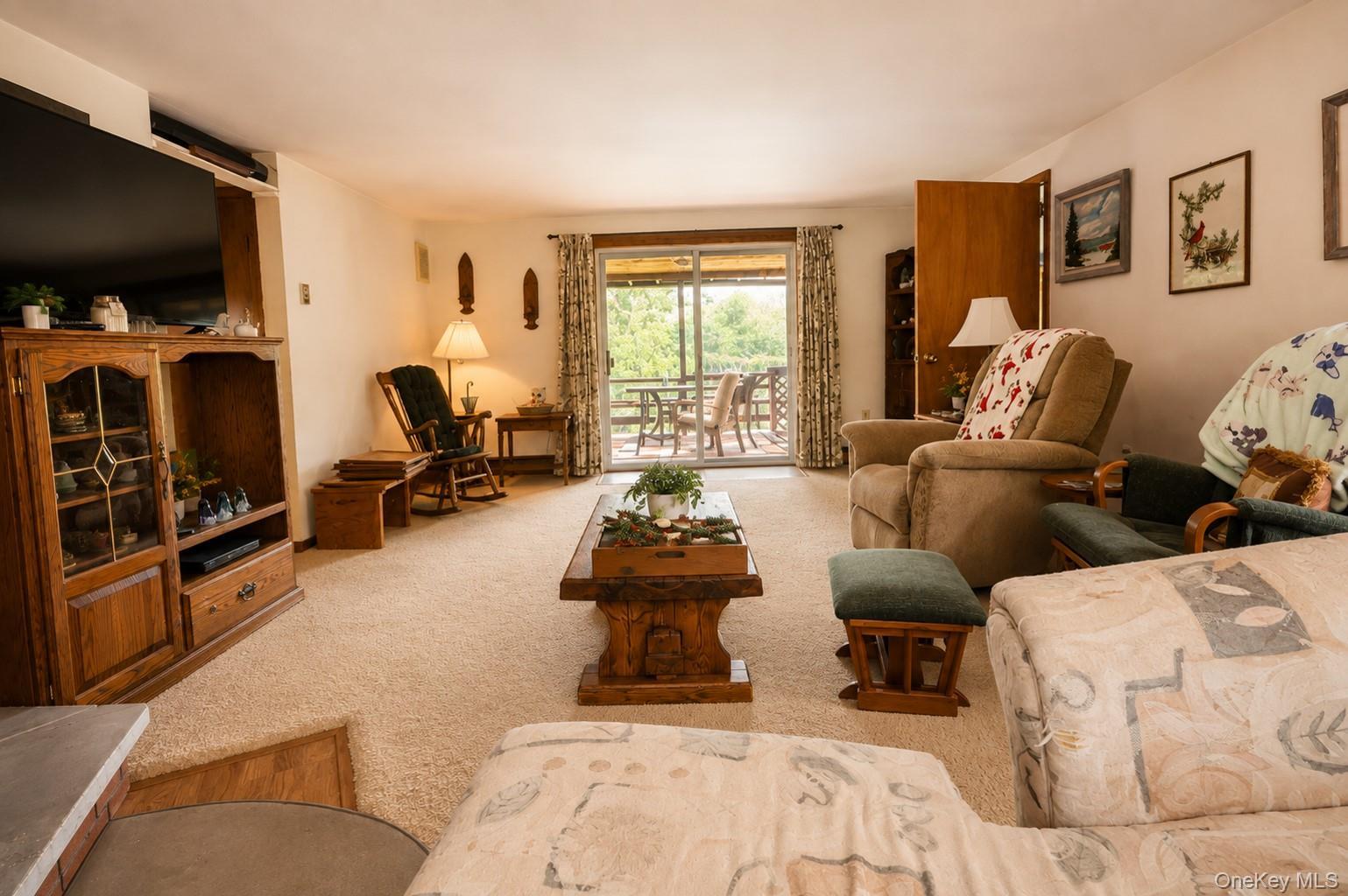 Single Family Wallkill Avenue  Orange County, NY 12589, MLS-1035923-10