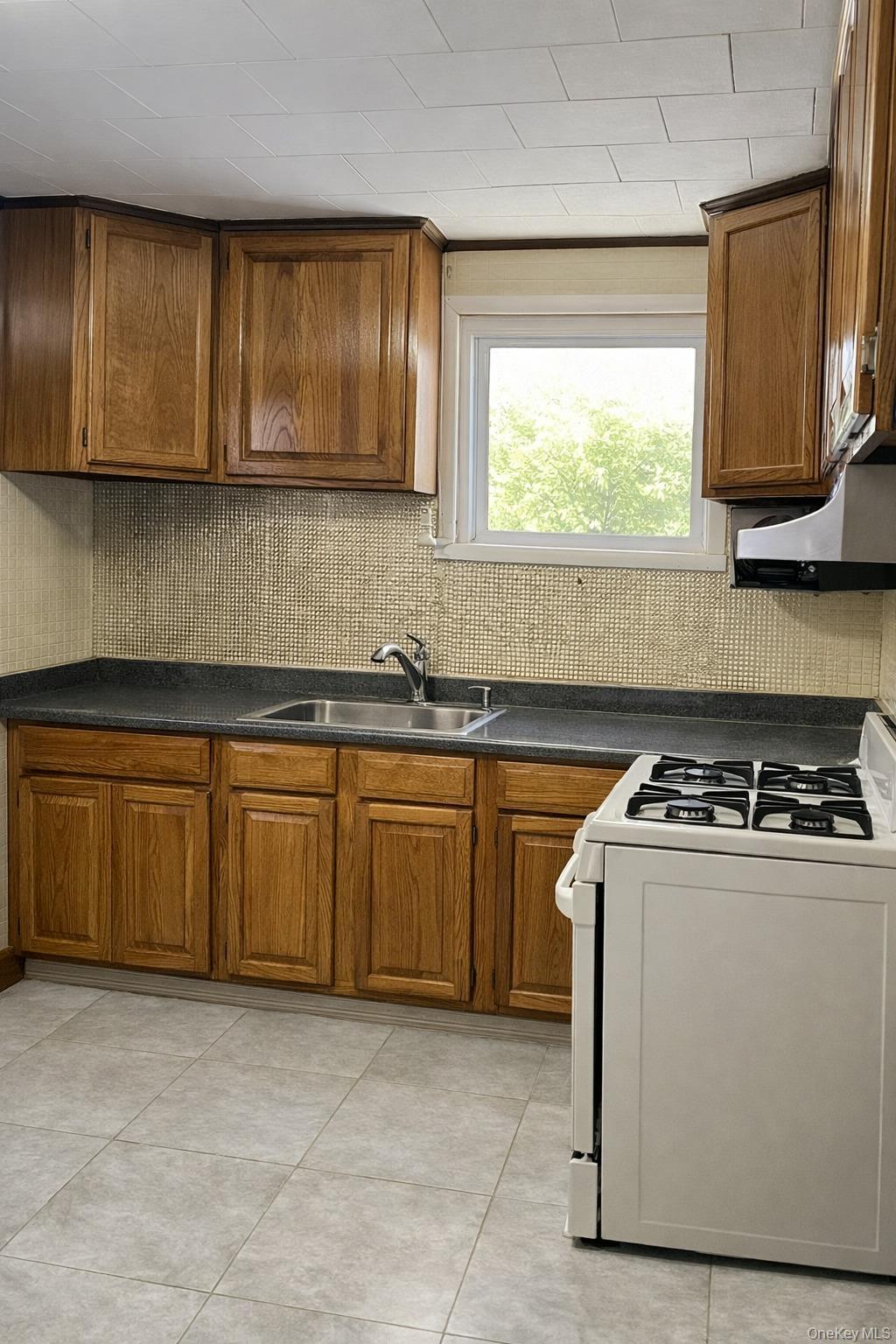 Single Family Inwood Street  Queens, NY 11436, MLS-1035930-2