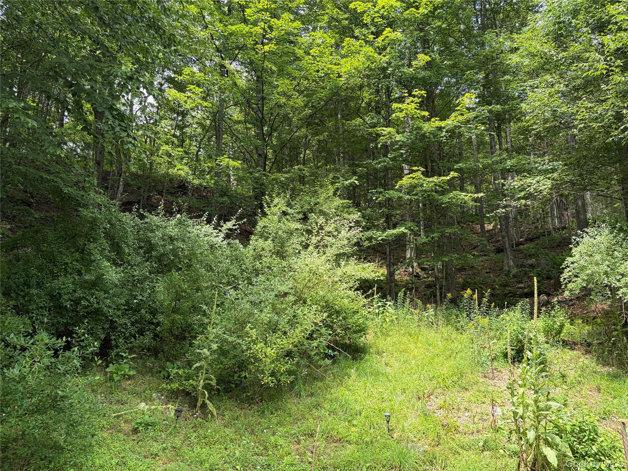 Single Family County Route 94 Sullivan County, NY 12736, MLS-1036024-17