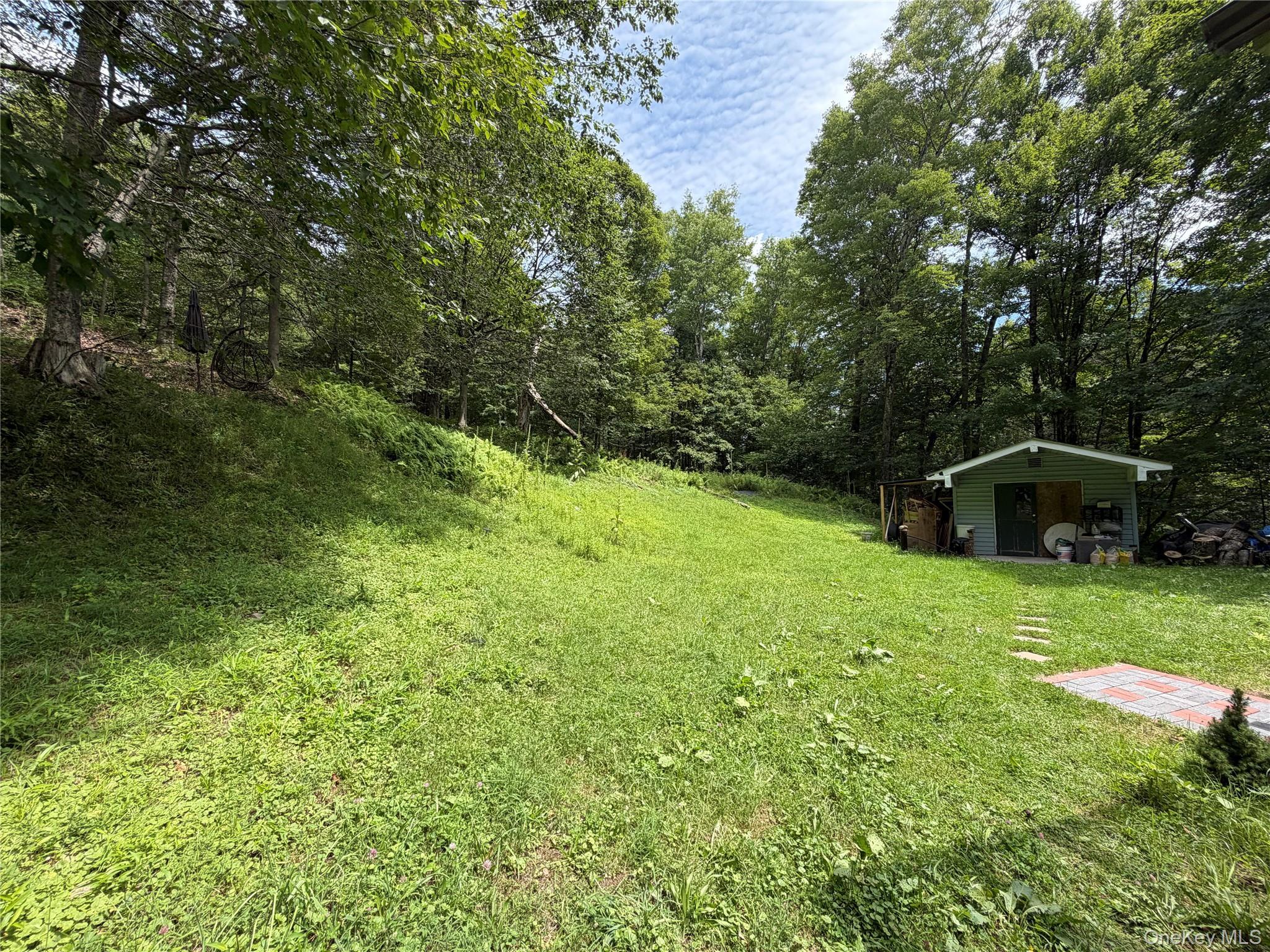 Single Family County Route 94 Sullivan County, NY 12736, MLS-1036024-18