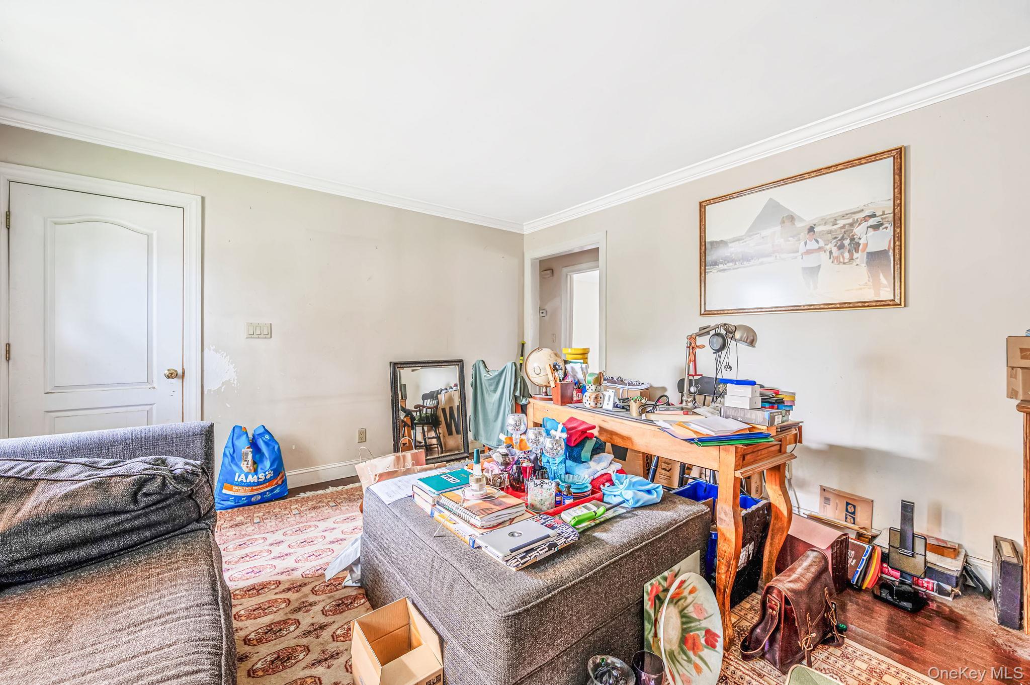 Single Family Nassau Road Suffolk County, NY 11743, MLS-1036058-9