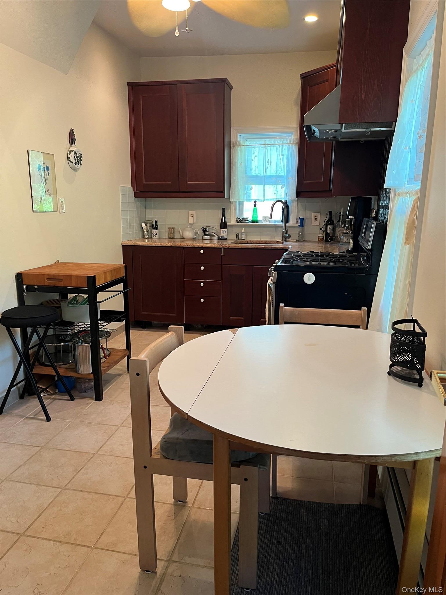 Single Family Saint Marks Avenue Nassau County, NY 11520, MLS-1036078-6