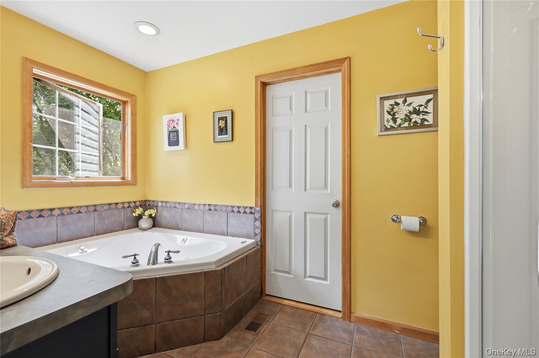 Single Family Meadow Drive Dutchess County, NY 12571, MLS-1036106-11