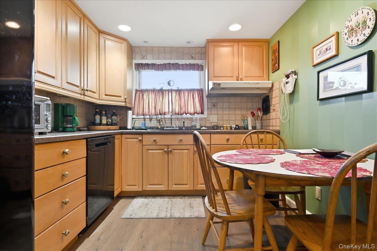 Single Family Lenox Avenue Nassau County, NY 11554, MLS-1036131-5