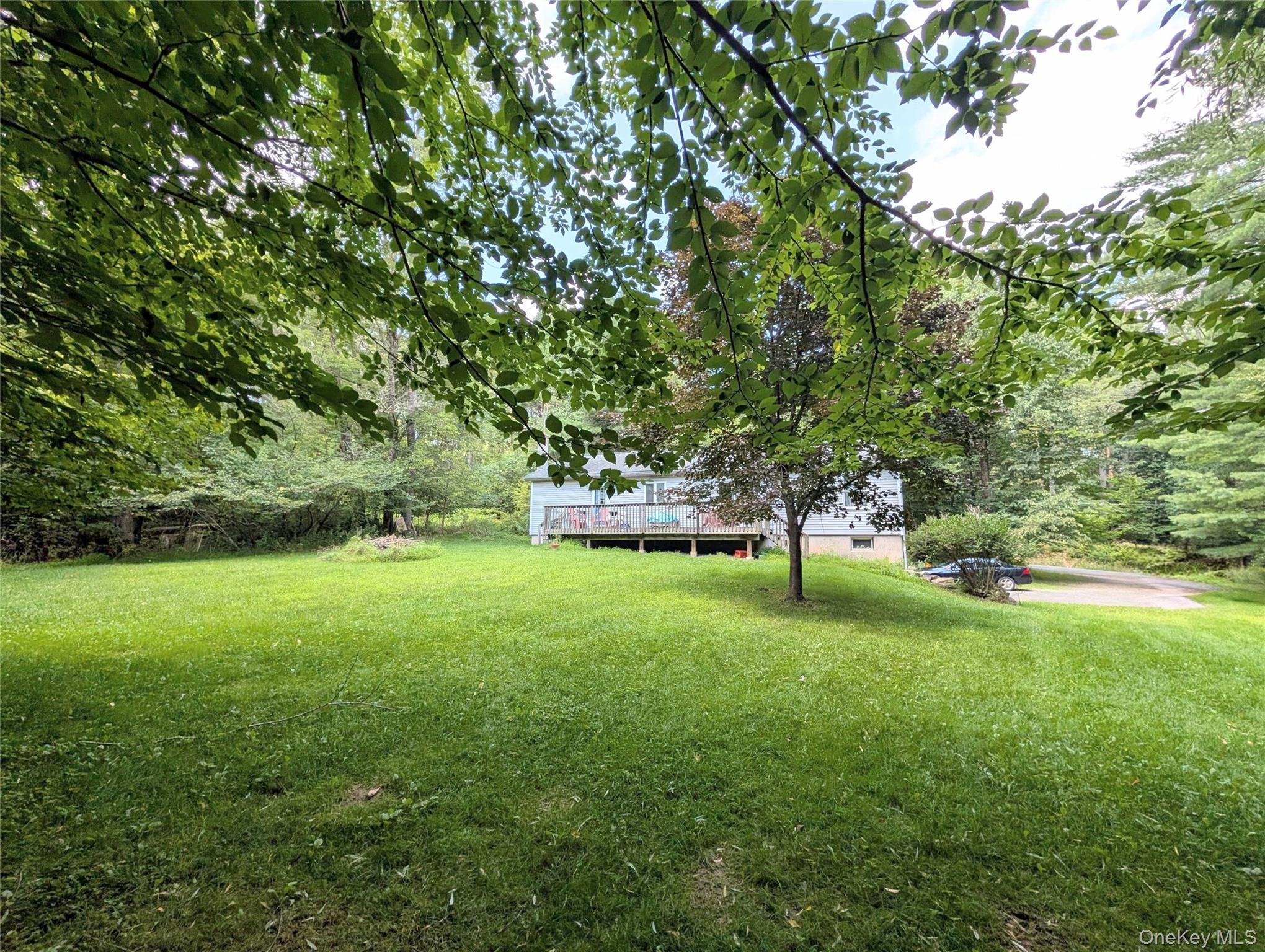 Single Family Hoffman Road  Sullivan County, NY 12764, MLS-1036150-2