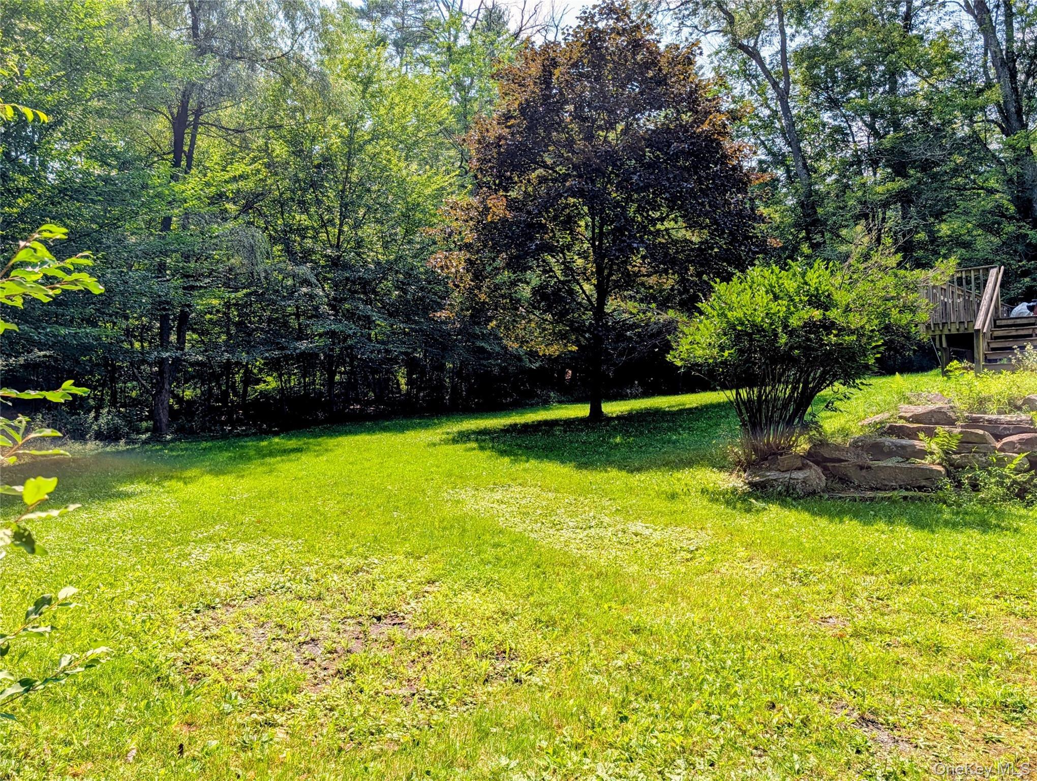 Single Family Hoffman Road  Sullivan County, NY 12764, MLS-1036150-25