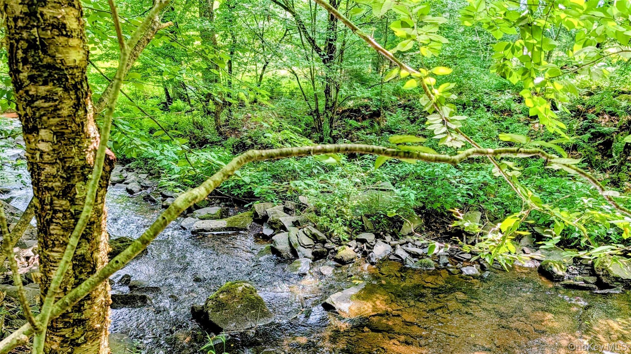 Single Family Hoffman Road  Sullivan County, NY 12764, MLS-1036150-28