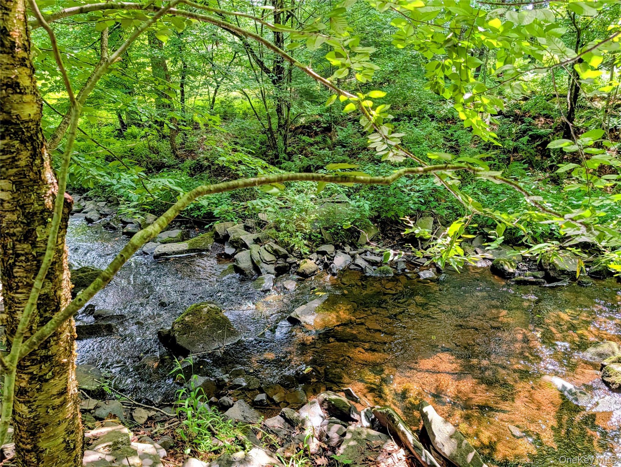 Single Family Hoffman Road  Sullivan County, NY 12764, MLS-1036150-29