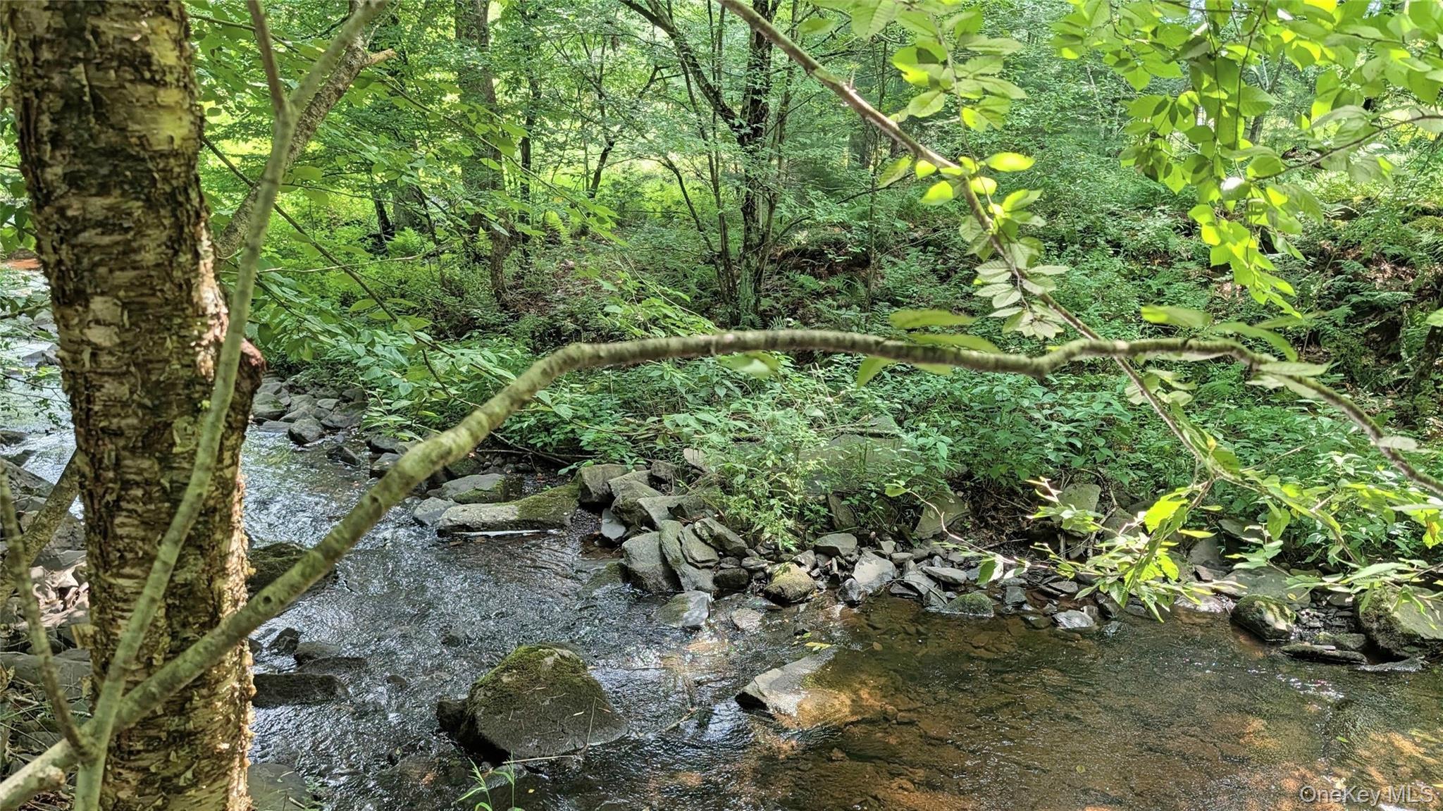 Single Family Hoffman Road  Sullivan County, NY 12764, MLS-1036150-3