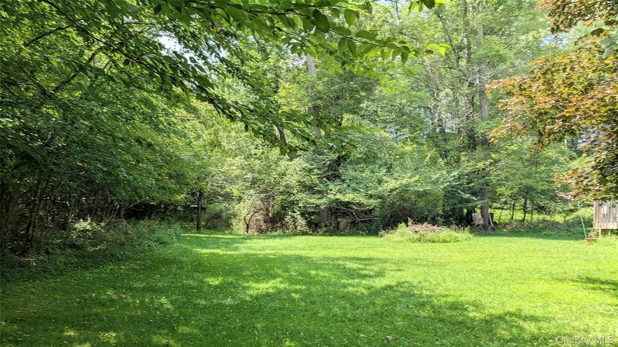 Single Family Hoffman Road  Sullivan County, NY 12764, MLS-1036150-30