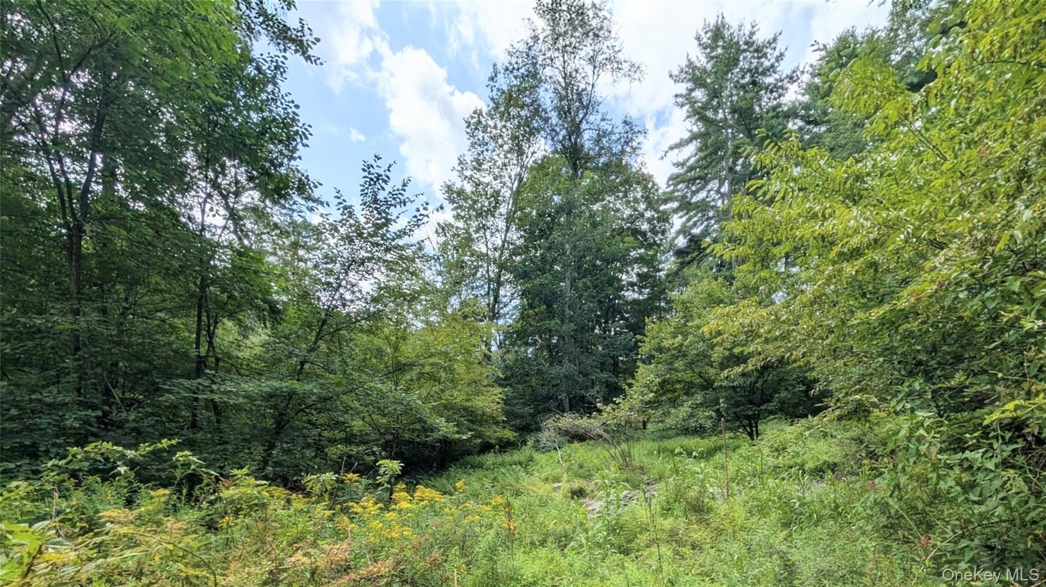 Single Family Hoffman Road  Sullivan County, NY 12764, MLS-1036150-31