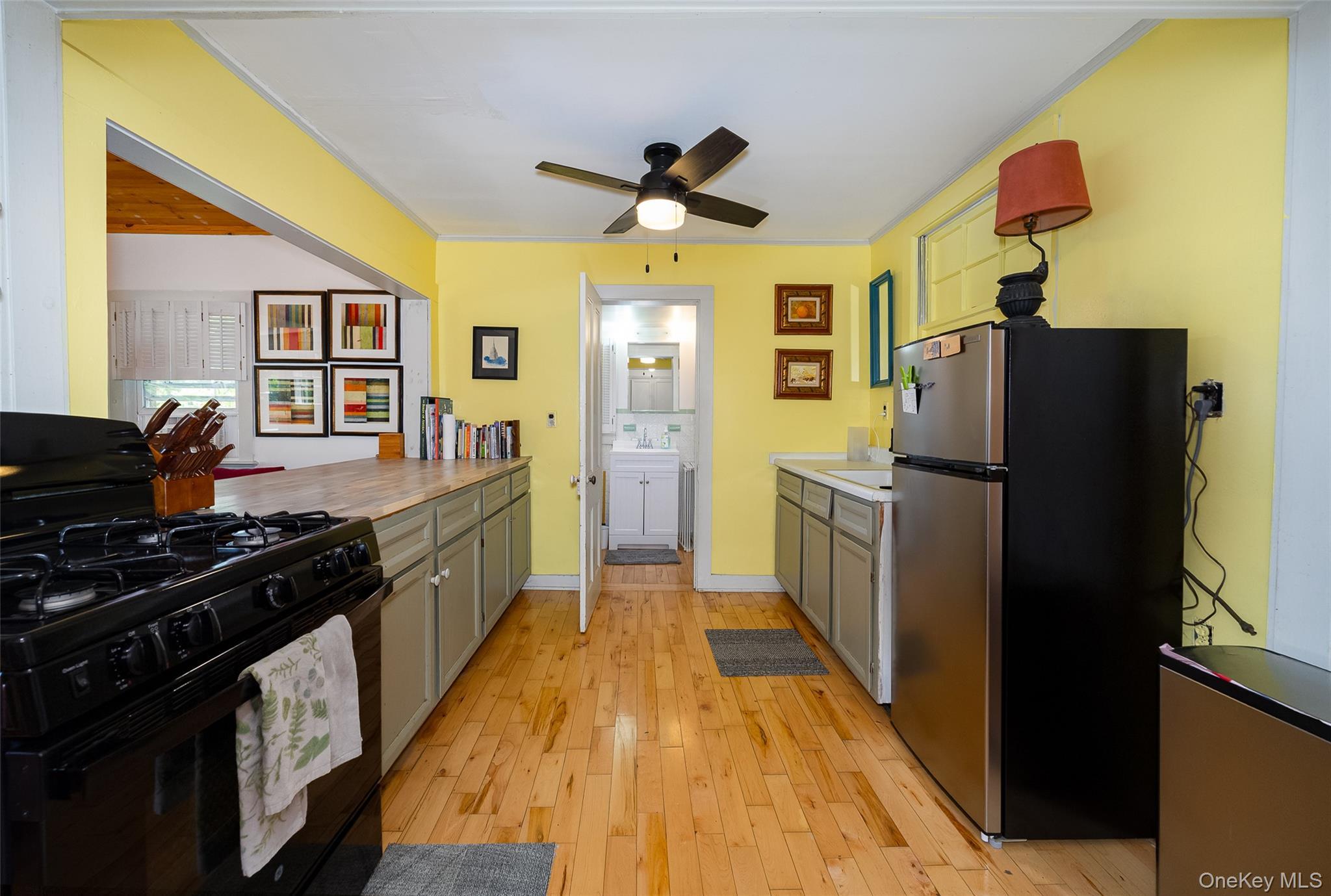 Single Family Lake Shore Drive  Dutchess County, NY 12567, MLS-1036155-20