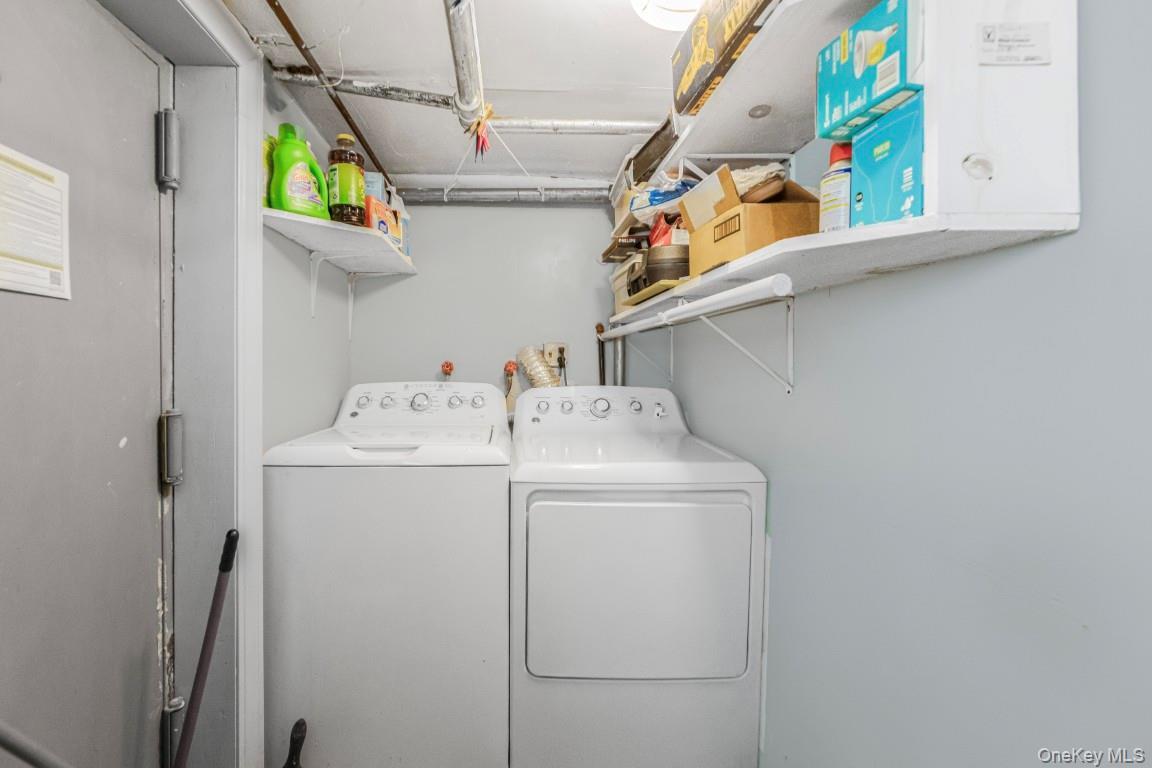Single Family Albany Avenue Brooklyn, NY 11203, MLS-1036171-19