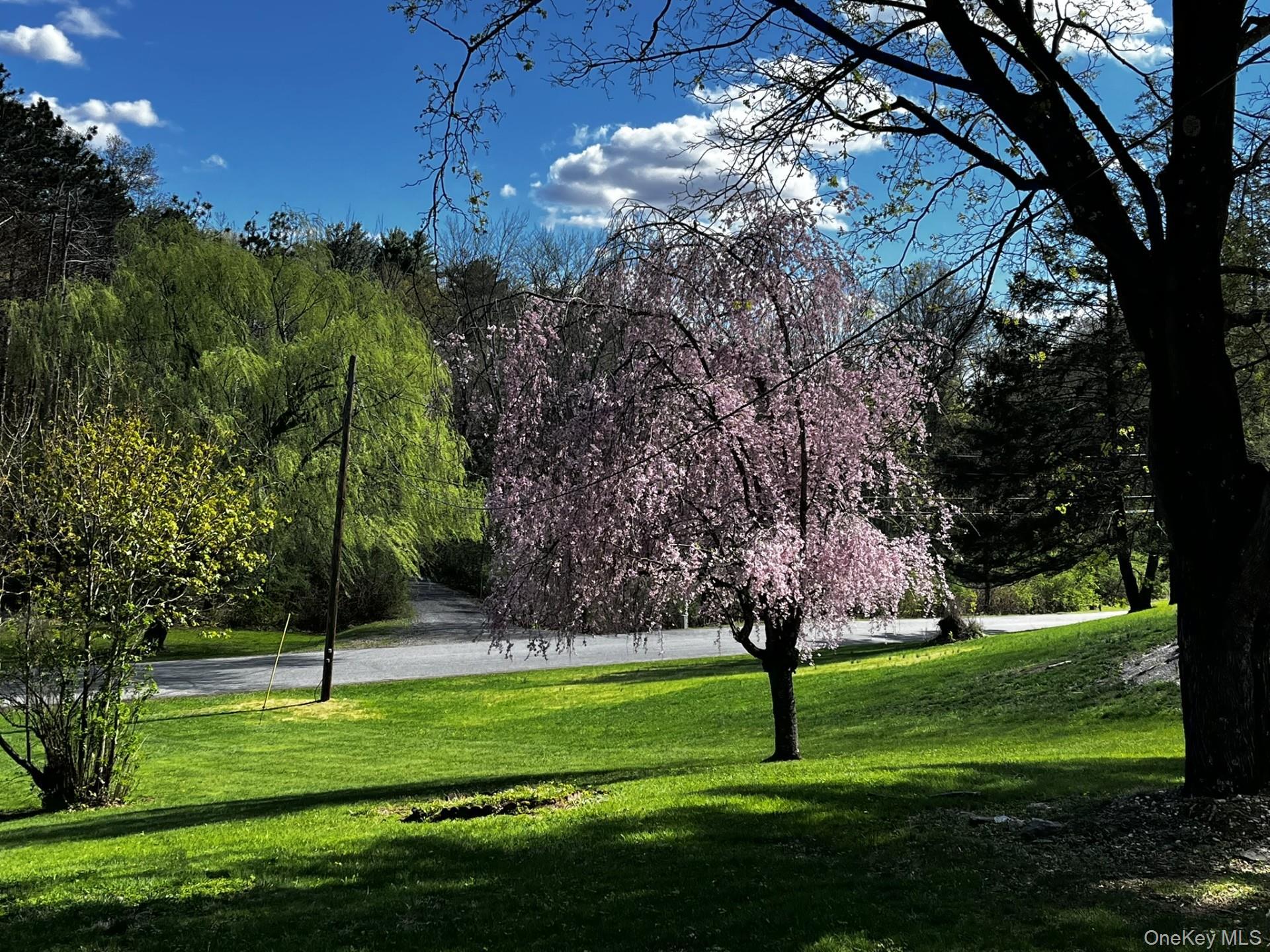 Single Family Hapeman Hill Road  Dutchess County, NY 12571, MLS-1036173-29