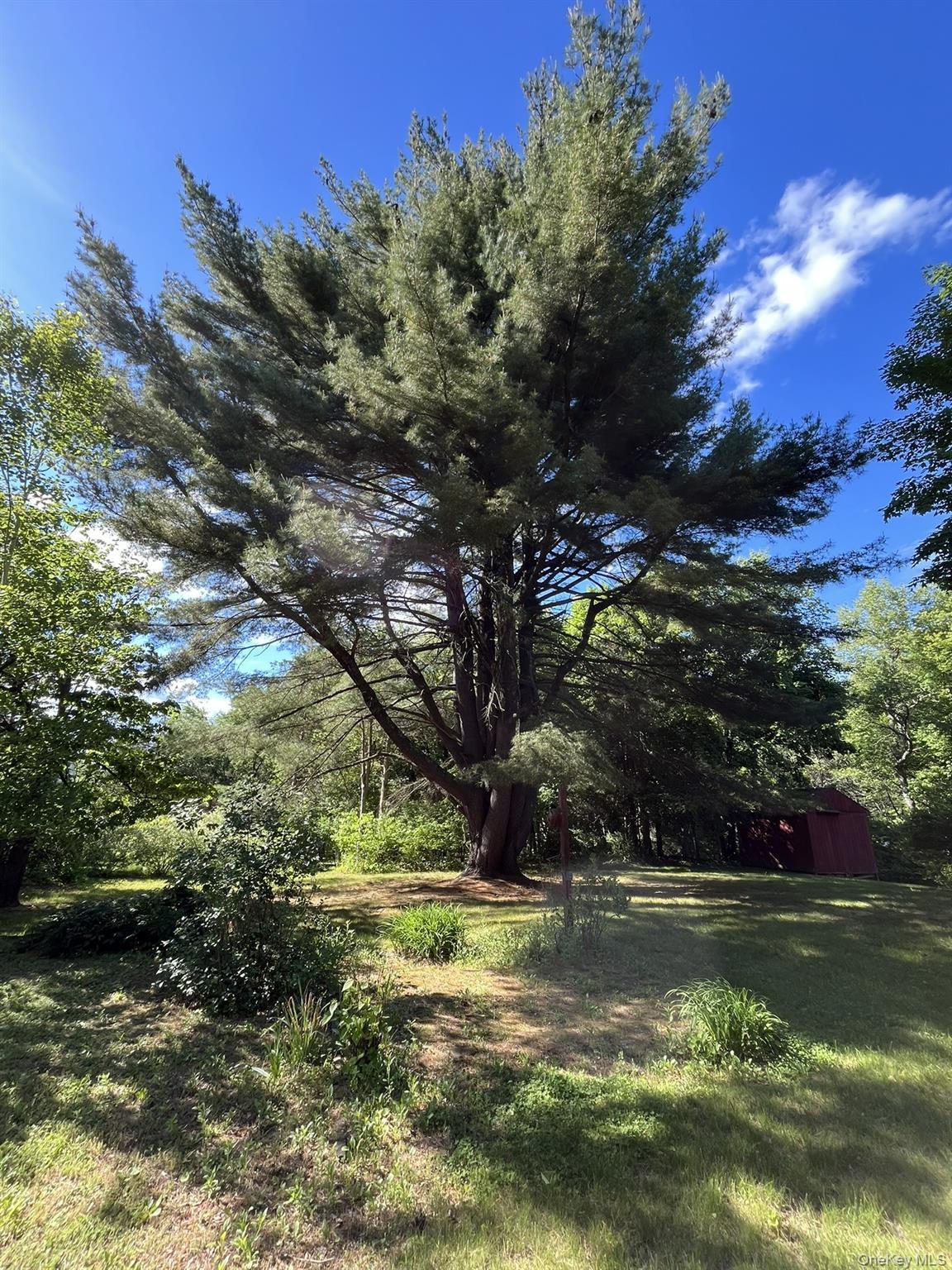 Single Family Hapeman Hill Road  Dutchess County, NY 12571, MLS-1036173-32