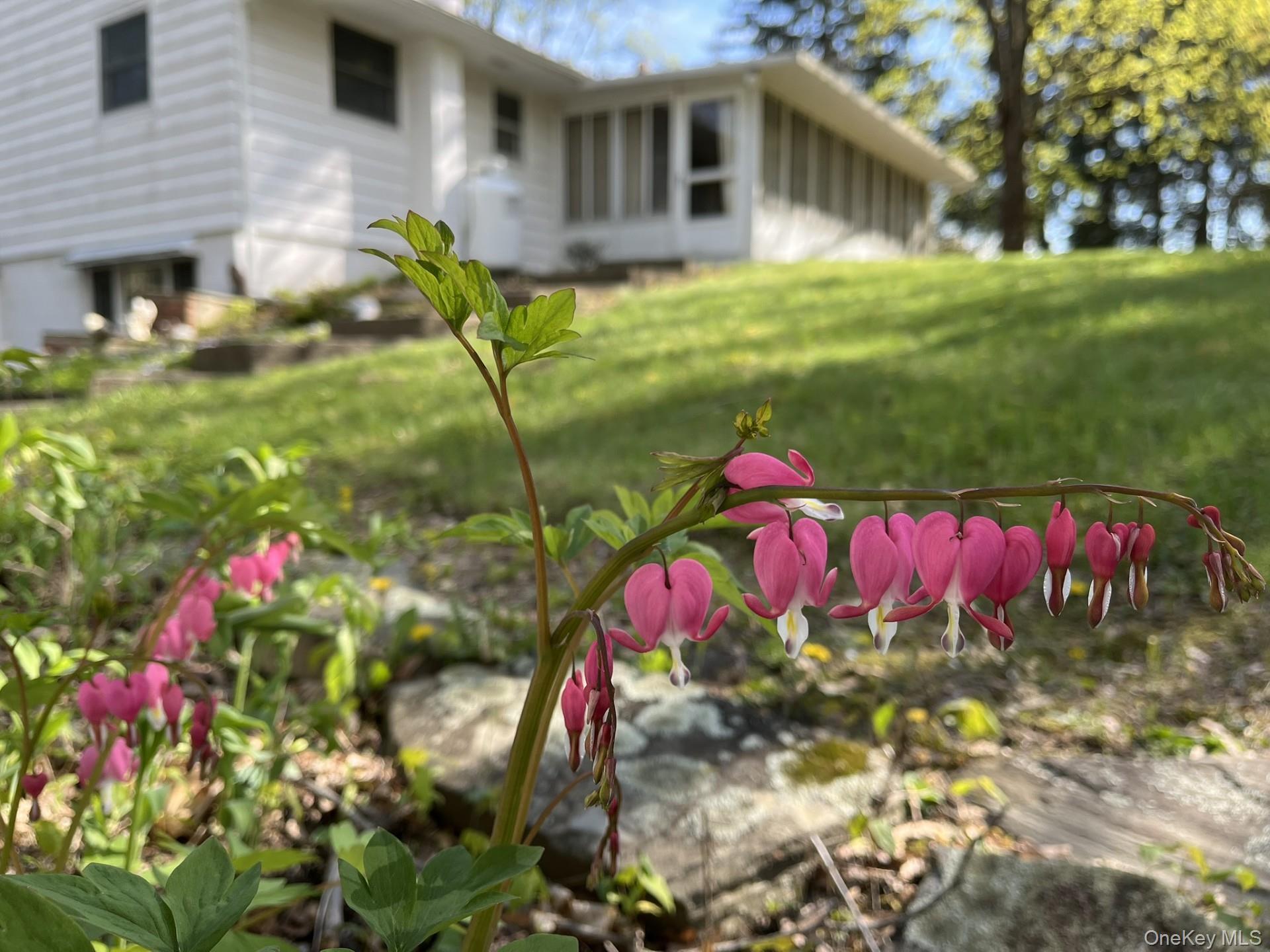 Single Family Hapeman Hill Road  Dutchess County, NY 12571, MLS-1036173-33