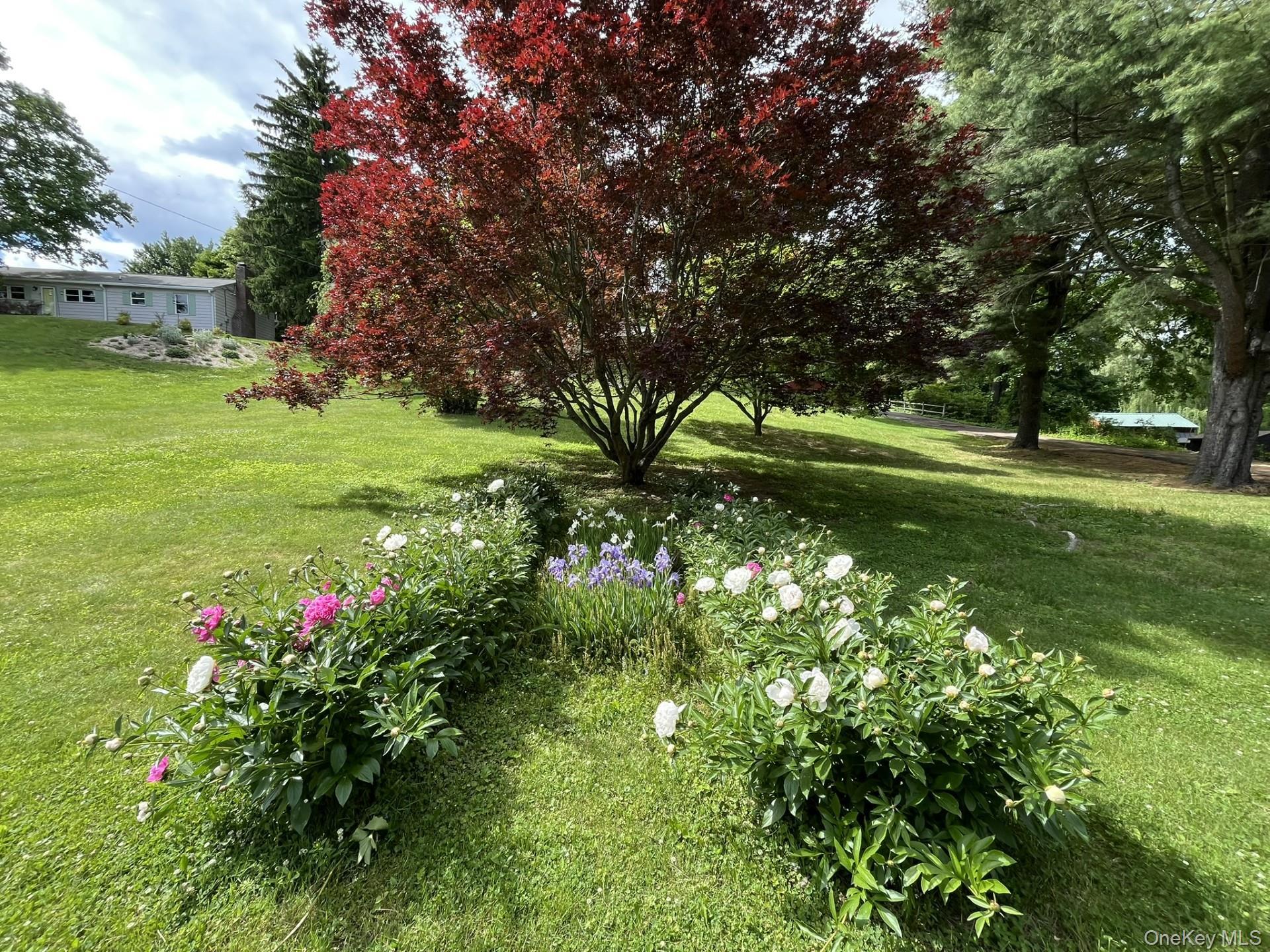 Single Family Hapeman Hill Road  Dutchess County, NY 12571, MLS-1036173-36