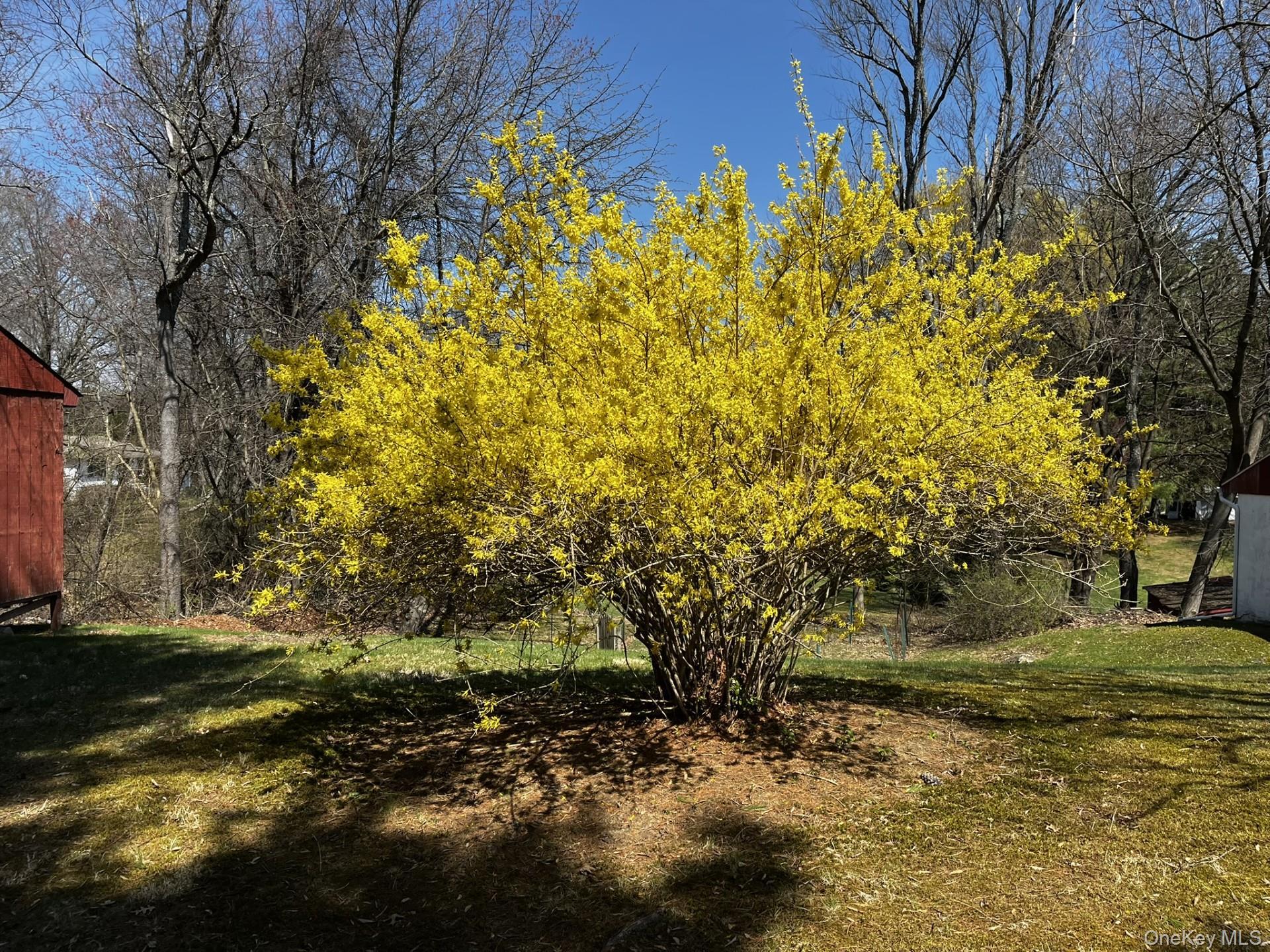 Single Family Hapeman Hill Road  Dutchess County, NY 12571, MLS-1036173-39