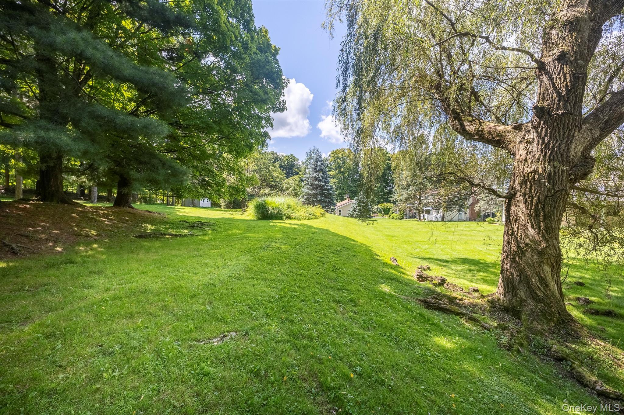 Single Family Ciferri Drive Dutchess County, NY 12545, MLS-1036190-6