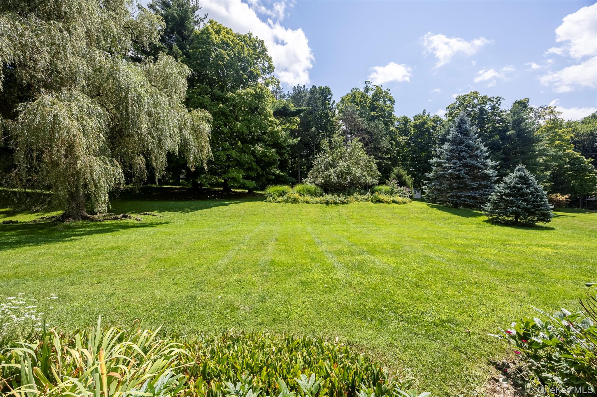 Single Family Ciferri Drive Dutchess County, NY 12545, MLS-1036190-9
