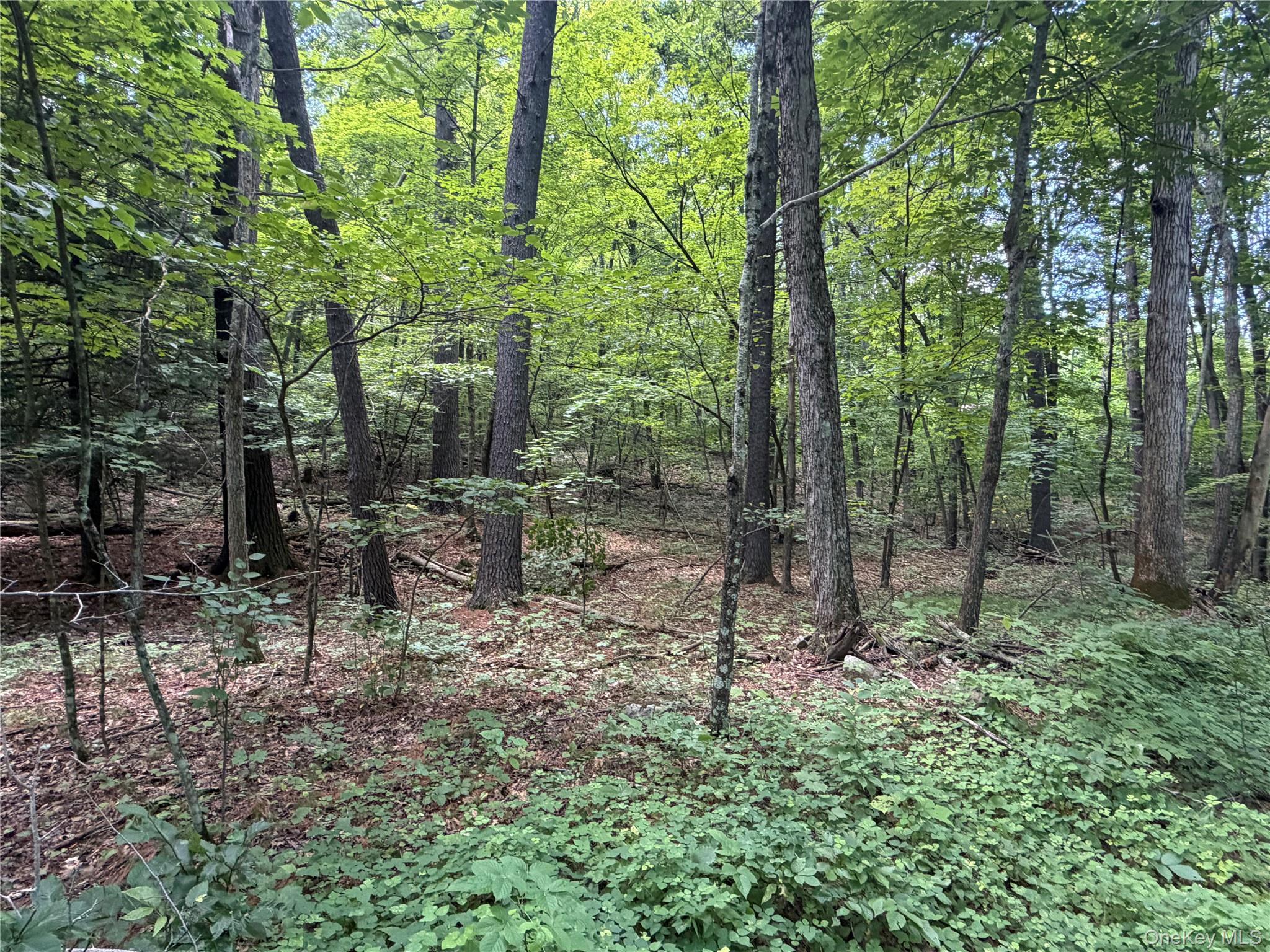 Single Family Main Street Ulster County, NY 12477, MLS-1036223-33