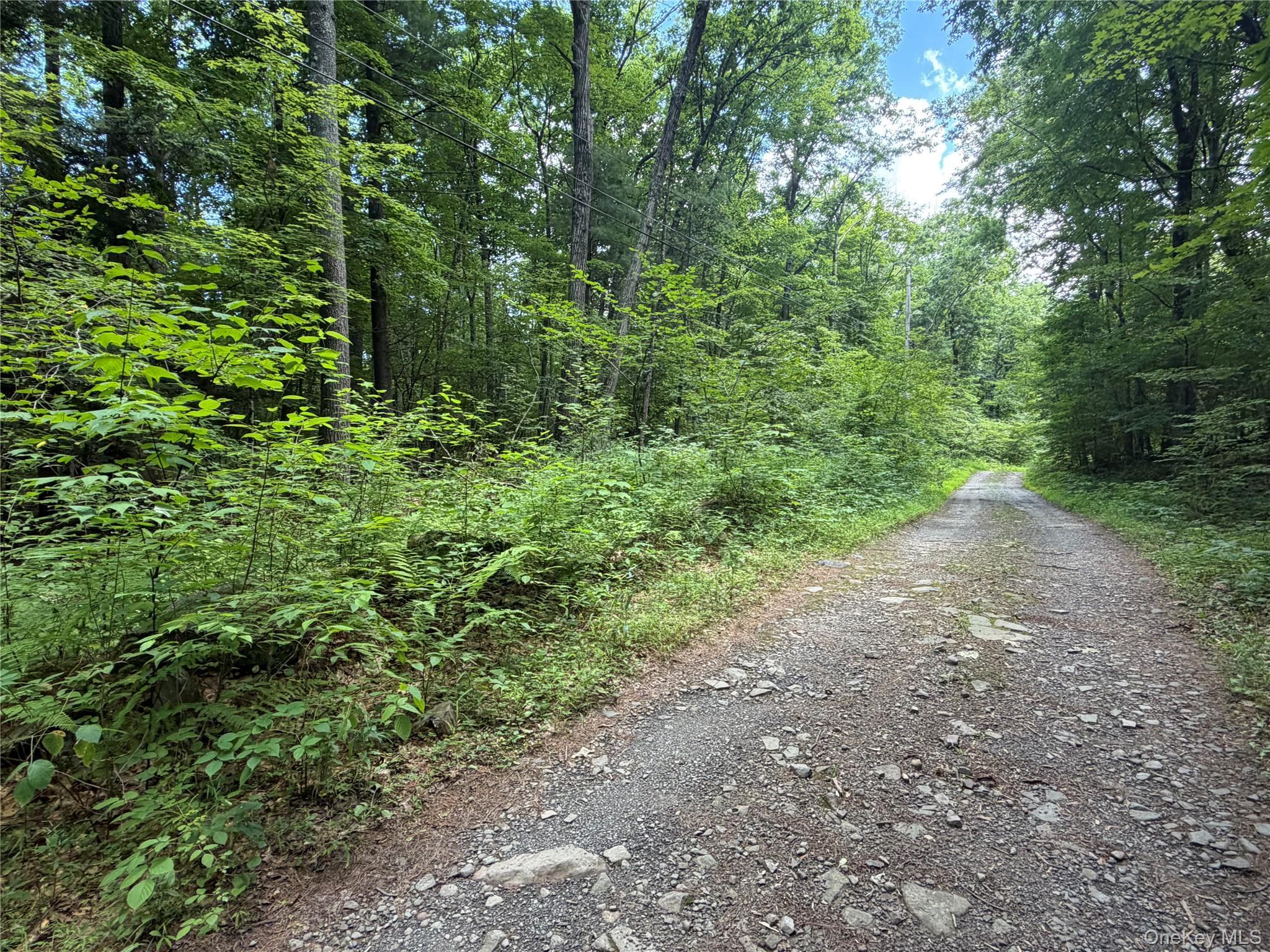 Single Family Main Street Ulster County, NY 12477, MLS-1036223-34