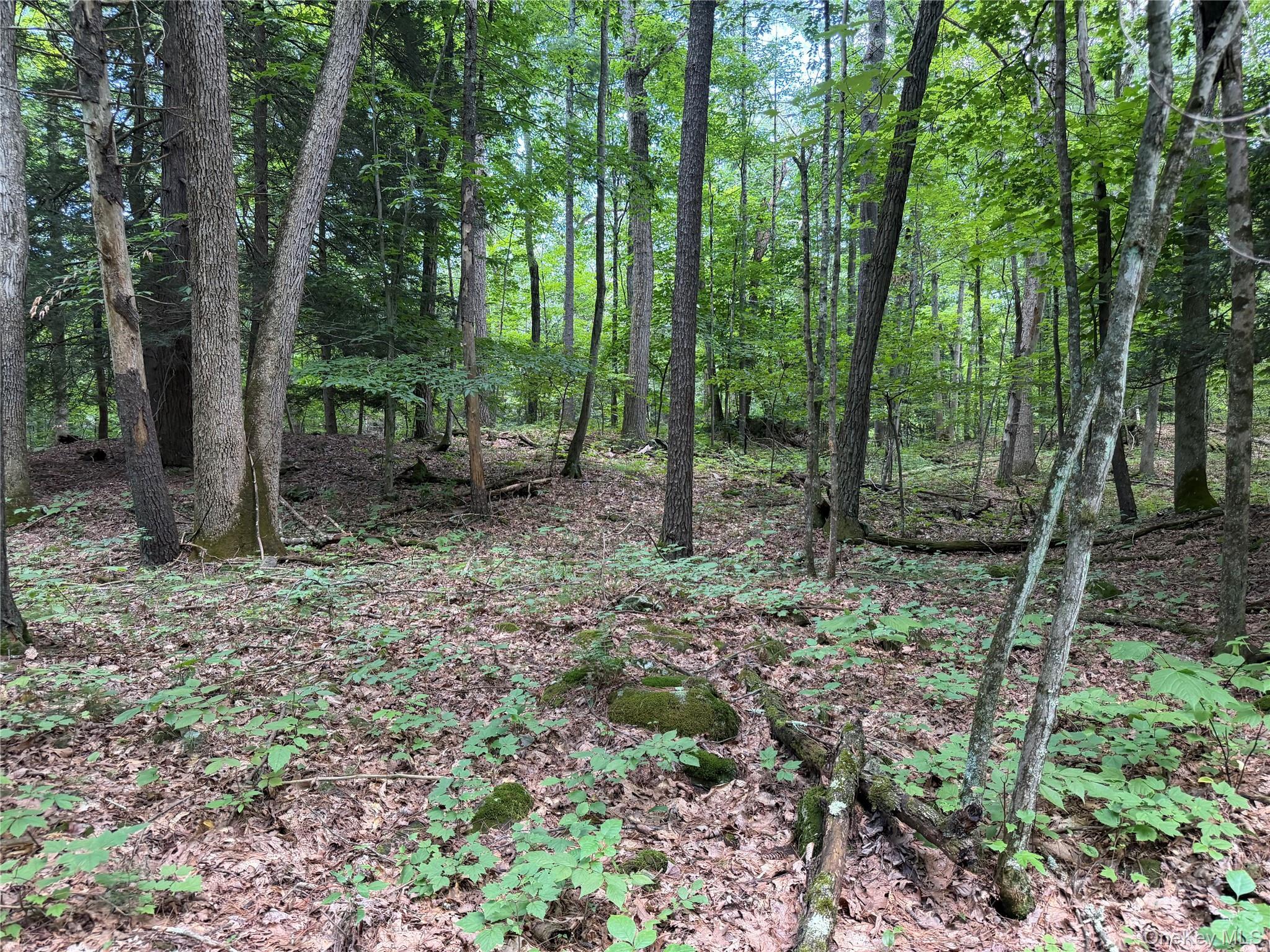 Single Family Main Street Ulster County, NY 12477, MLS-1036223-35