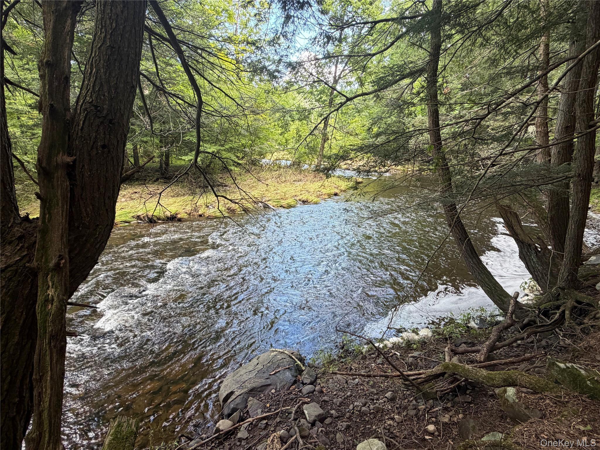Single Family Main Street Ulster County, NY 12477, MLS-1036223-36