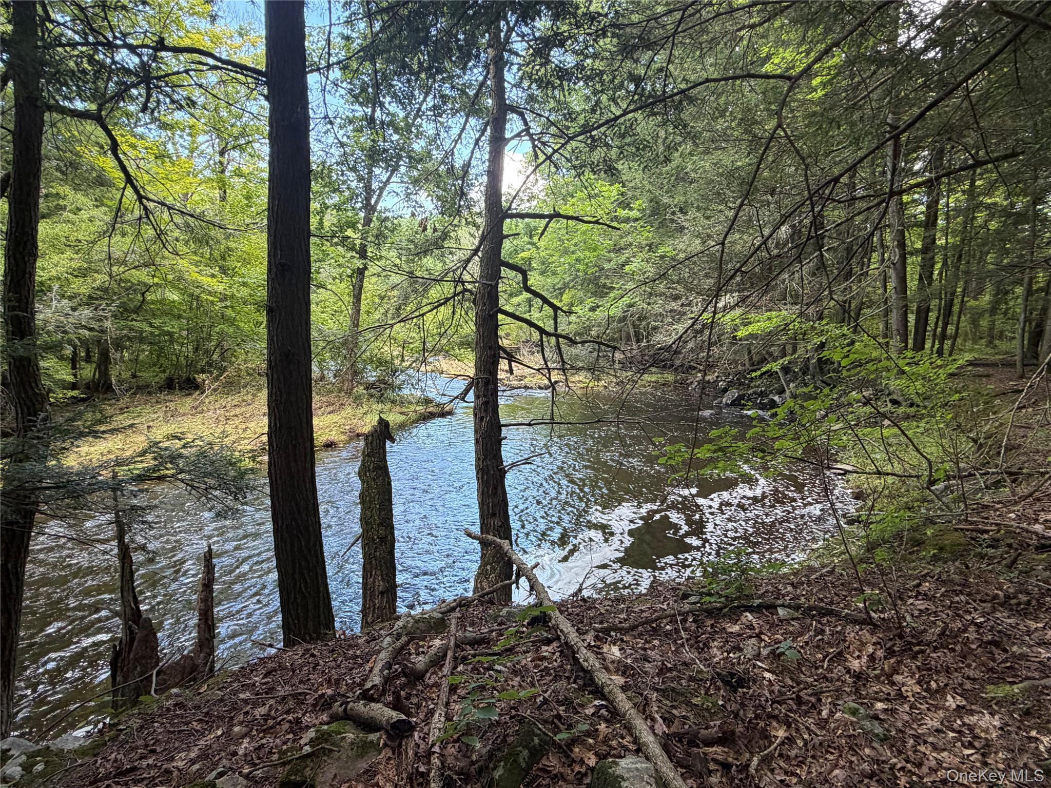 Single Family Main Street Ulster County, NY 12477, MLS-1036223-38