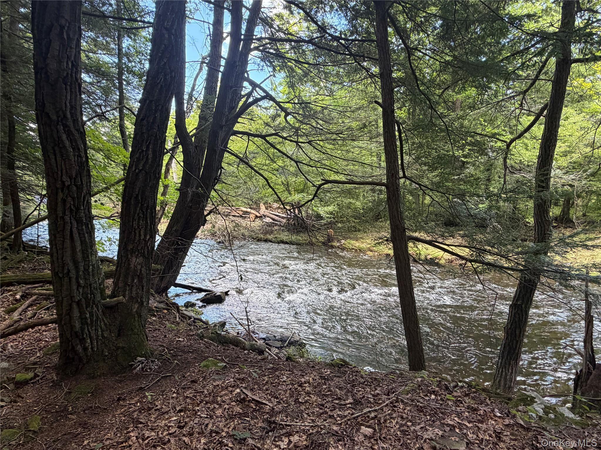 Single Family Main Street Ulster County, NY 12477, MLS-1036223-39