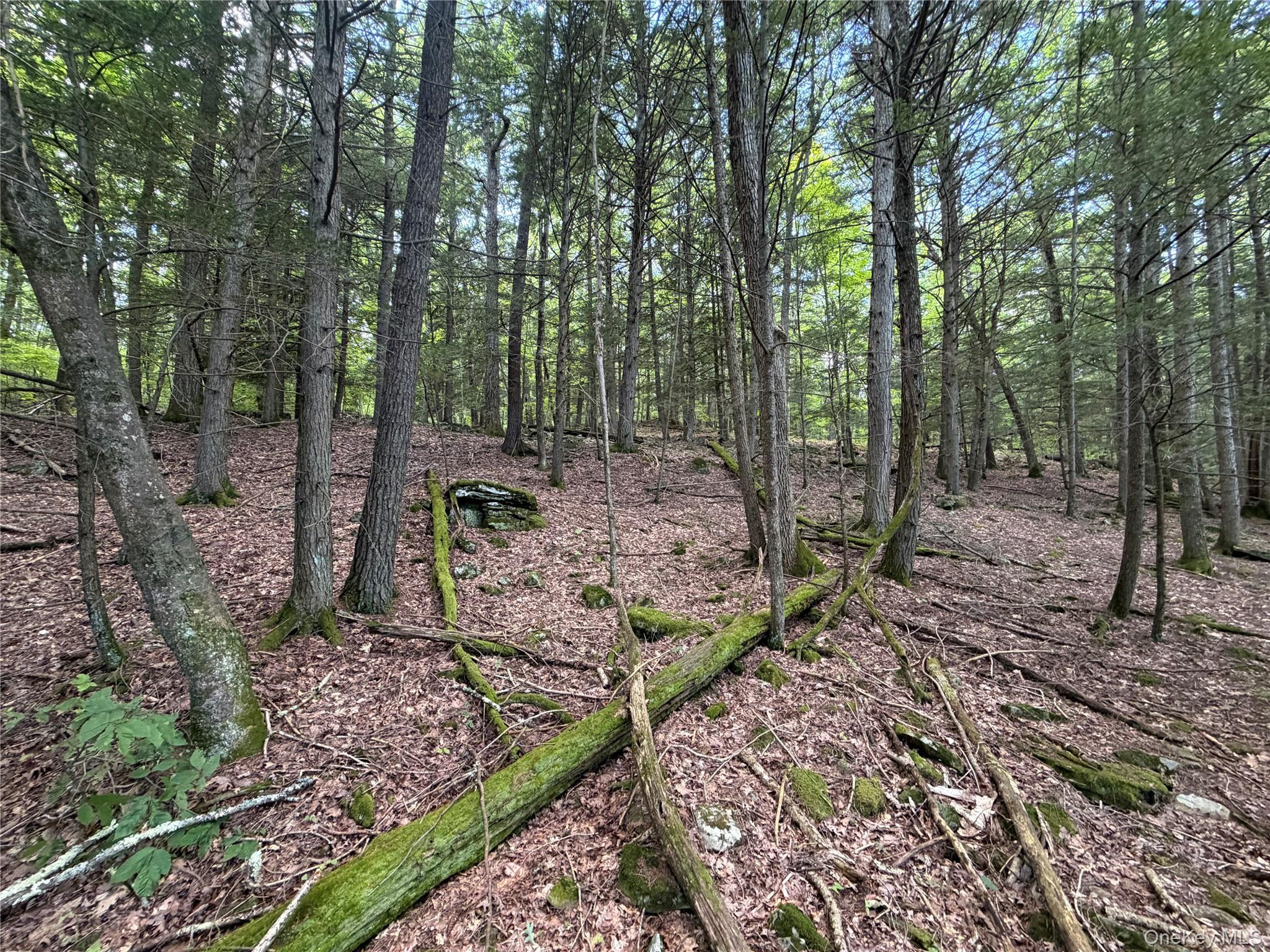 Single Family Main Street  Ulster County, NY 12477, MLS-1036223-40
