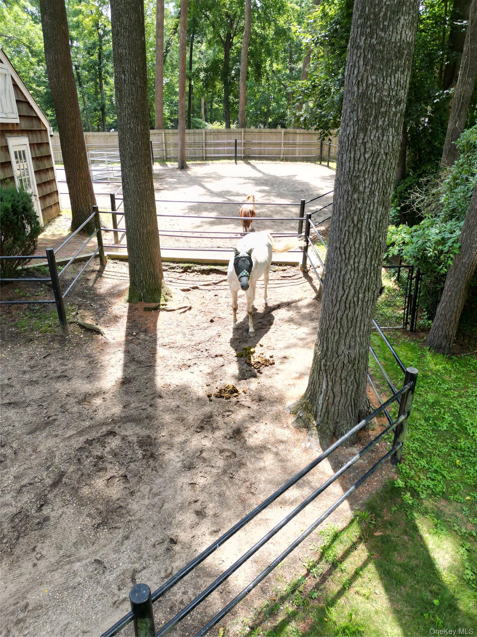 Single Family Muttontown Road Nassau County, NY 11791, MLS-1036241-29