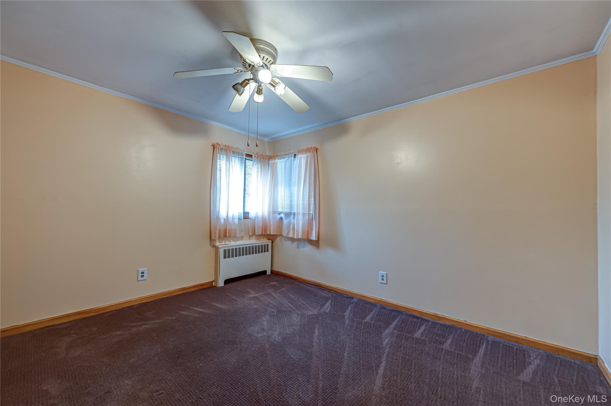 Single Family Maplewood Drive  Nassau County, NY 11783, MLS-1036258-12