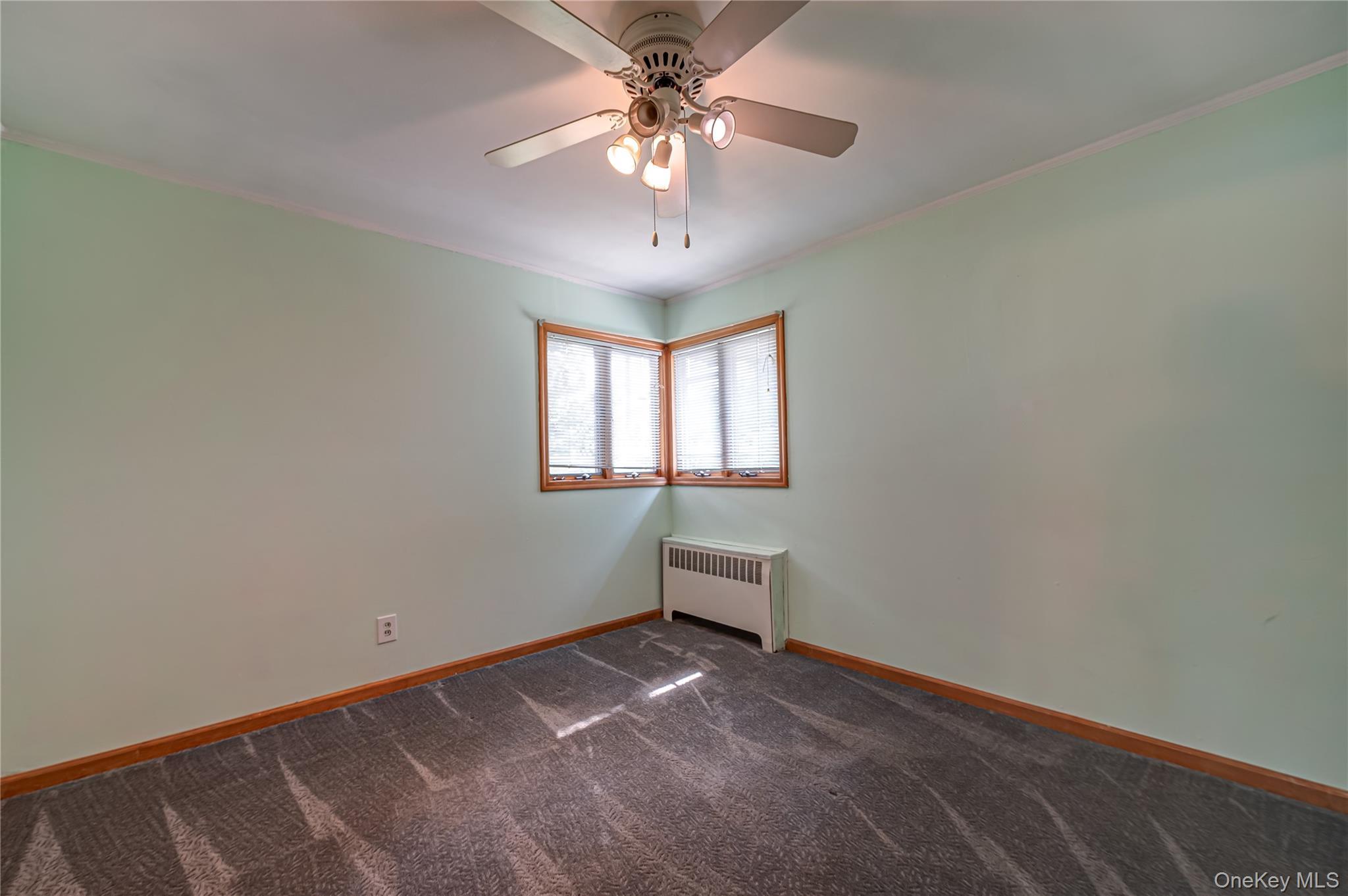 Single Family Maplewood Drive  Nassau County, NY 11783, MLS-1036258-13