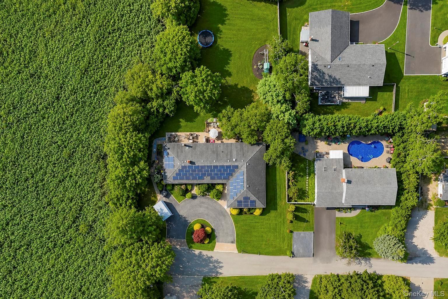 Single Family Reinhardt Court Suffolk County, NY 11715, MLS-1036280-3
