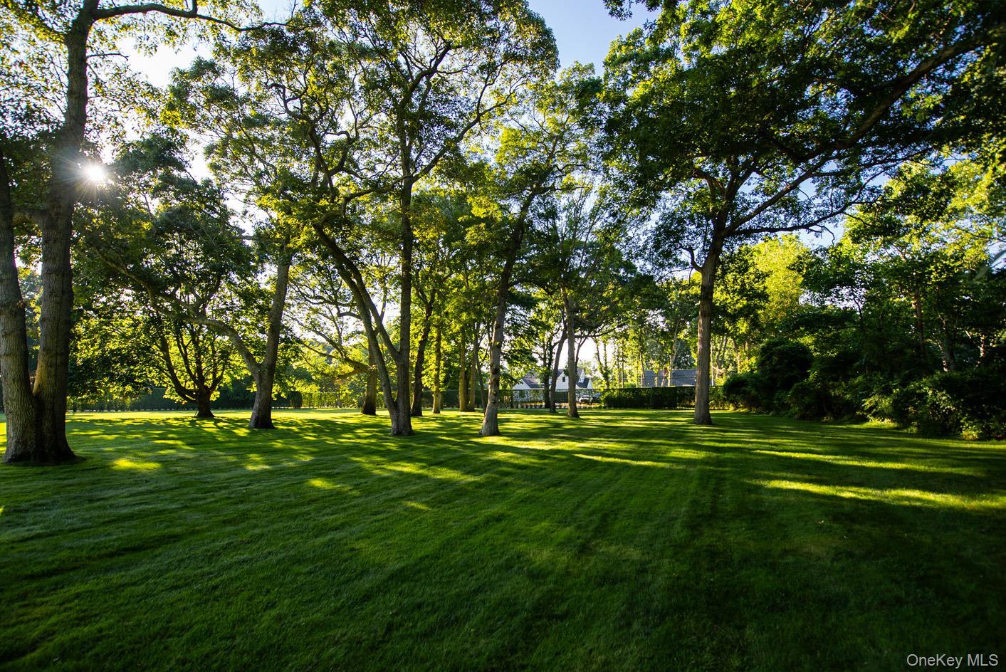Single Family Park Avenue  Suffolk County, NY 11952, MLS-1036287-16