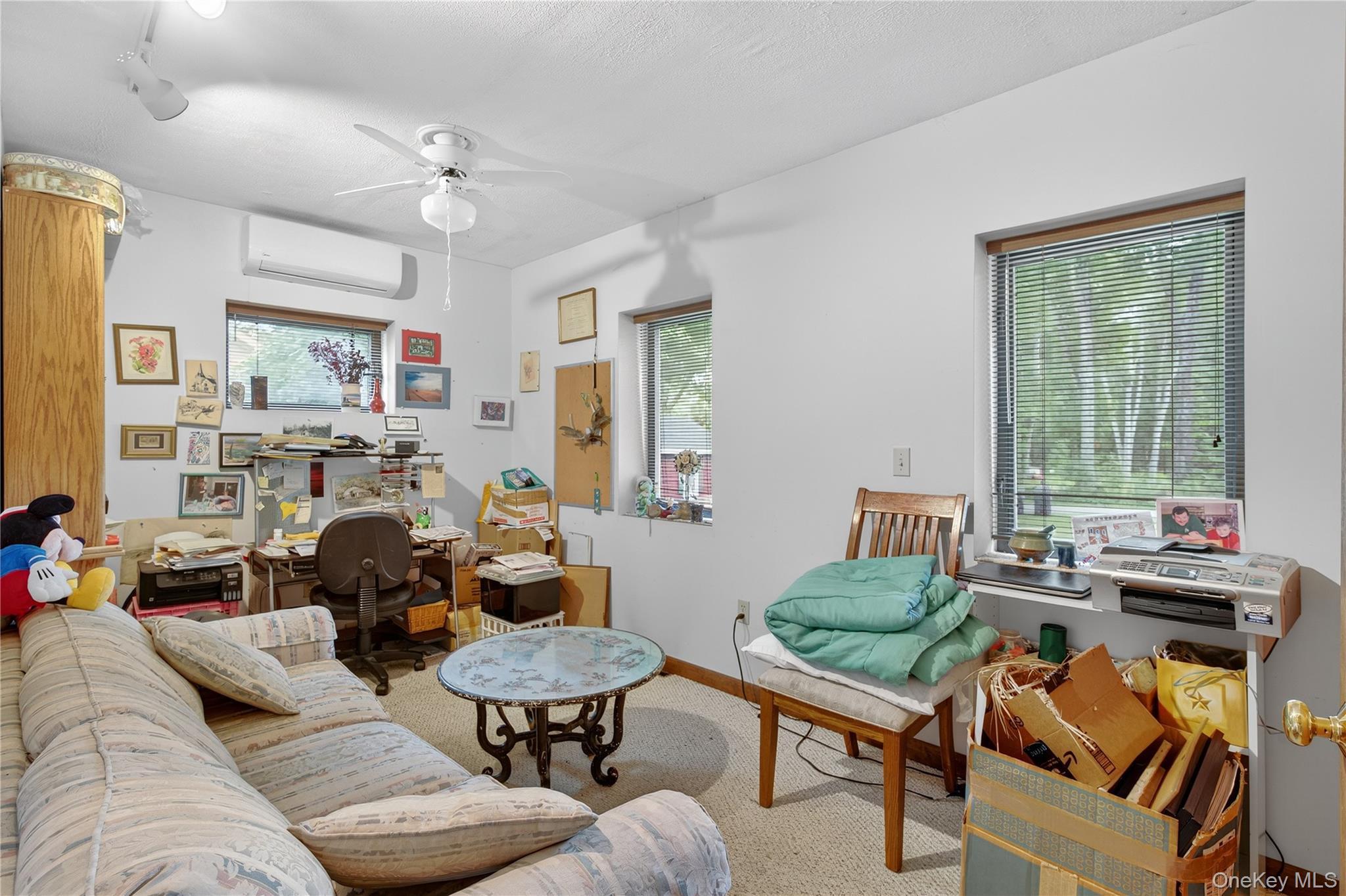 Single Family Penny Lane Ulster County, NY 12528, MLS-1036310-18