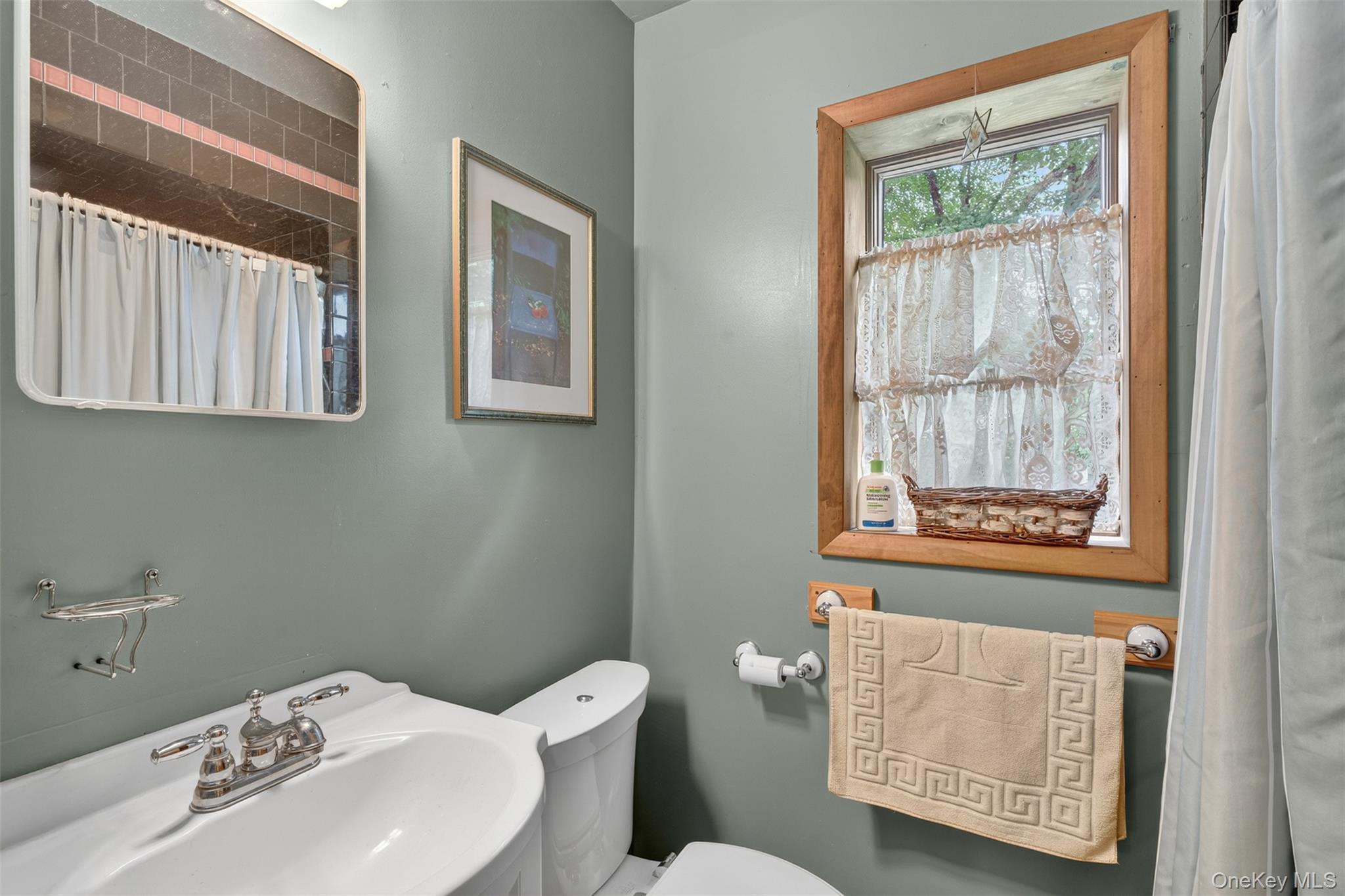 Single Family Penny Lane Ulster County, NY 12528, MLS-1036310-21