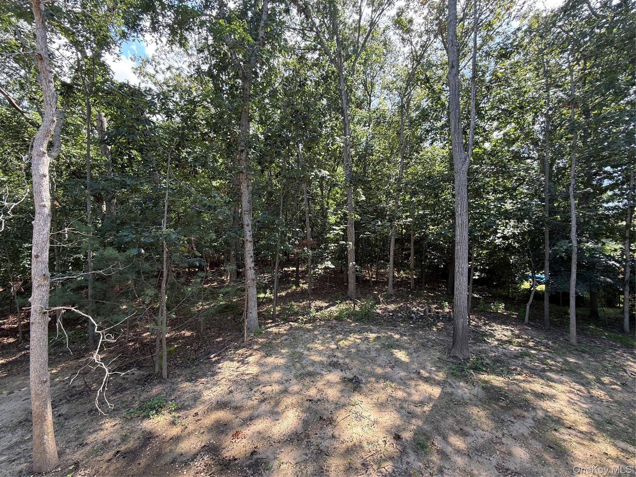 Single Family Scout Trail  Suffolk County, NY 11961, MLS-1036370-3
