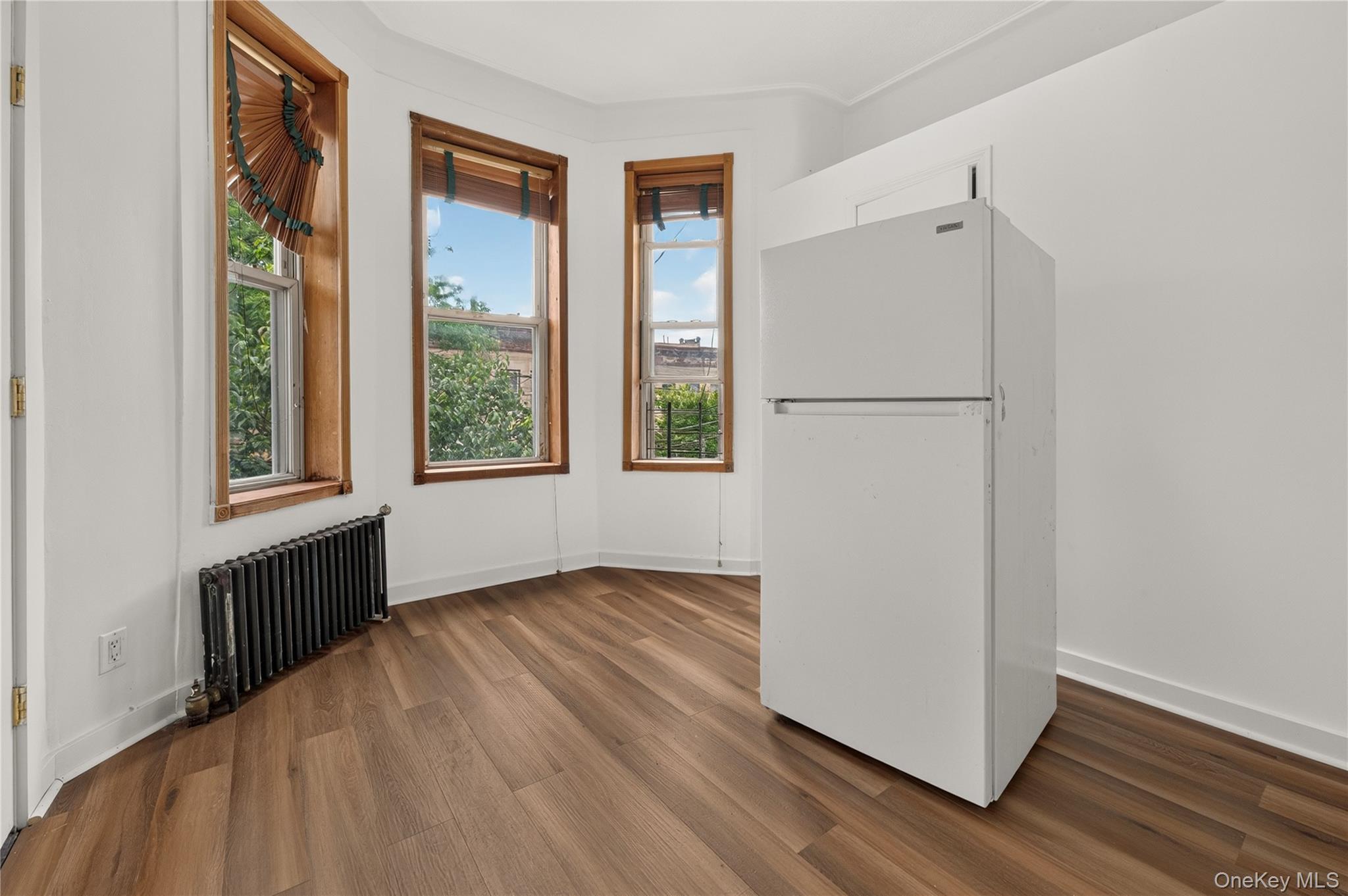 Single Family Drew Street  Brooklyn, NY 11208, MLS-1036385-20
